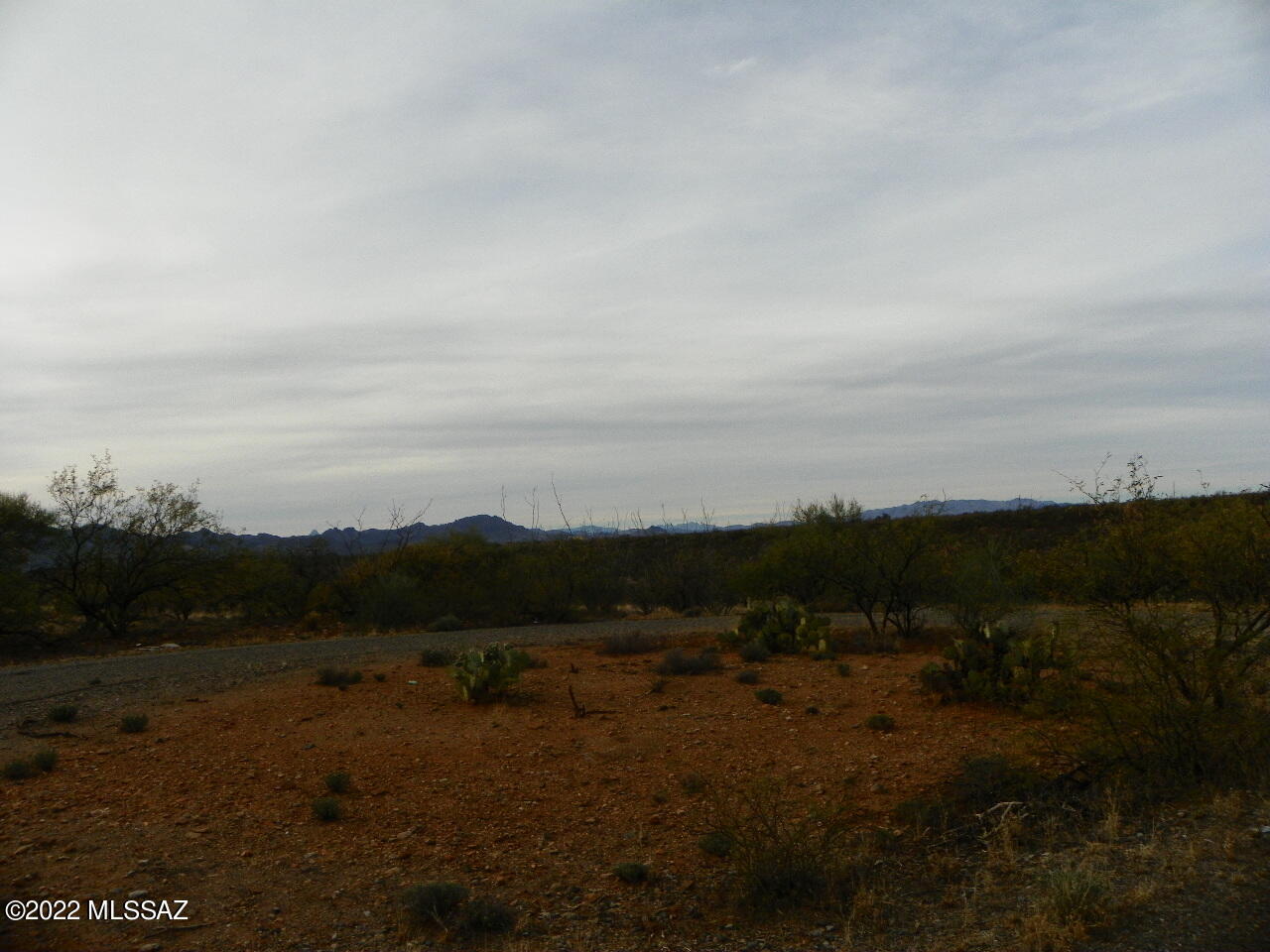 Rio Rico Estates 16 - Land