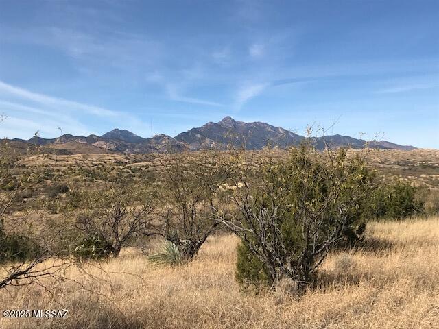 Gorgeous mountain views and from several building sites on this gorgeous piece of land in Lazy RR  Ranch Estates.  Build on a high ridge or on a lower part of this great parcel on a tree studded knoll for extra privacy.  Private well on the property. Access to electric .Roads are maintained through a Road Maintenace agreement.  Not far from the charming town of Patagonia but is very serene and private.  No hoa or size restrictions.