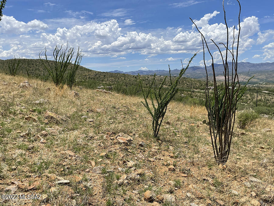 Rio Rico Ranchettes 18 - Land