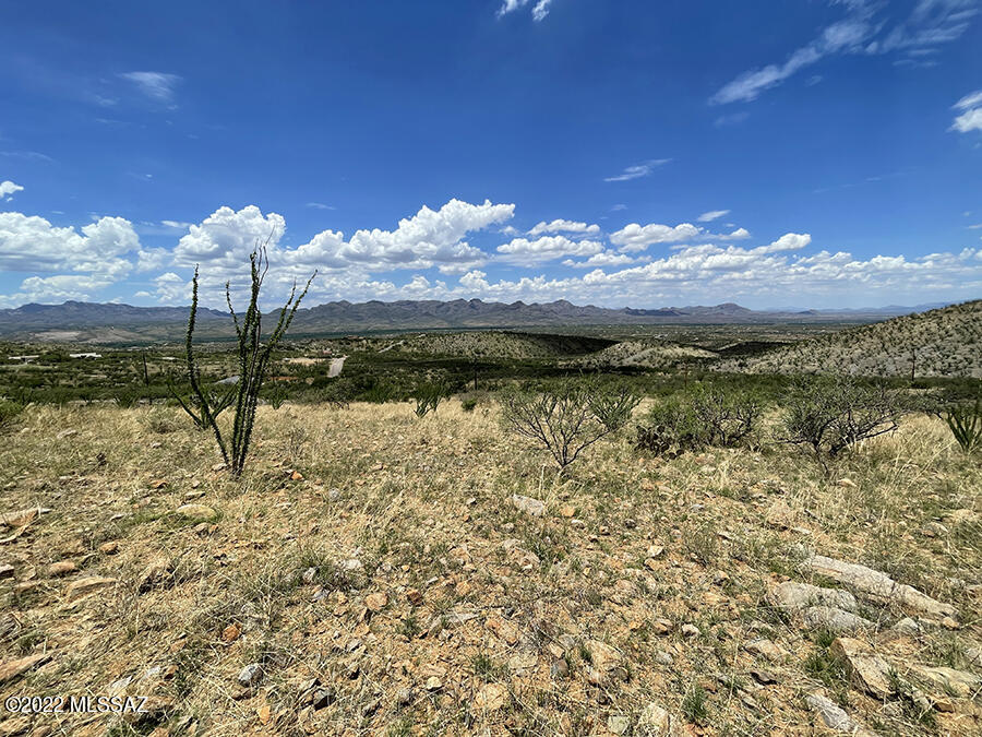 Escape to the highlands above the Santa Cruz River valley in Rio Rico, AZ !  This generous size lot is located in the northeast area at the base of Mt. San Cayetano. The lot extends from the road and gradually up to the county line directly next to the mountain. The terrain is covered with natural grasses and mesquites, providing expansive mountain views. The property is an exceptionally rare opportunity to own in Rio Rico.