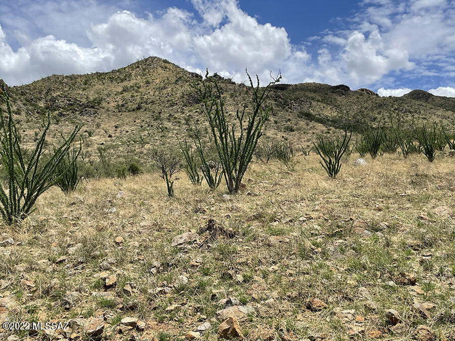 Rio Rico Ranchettes 18 - Land
