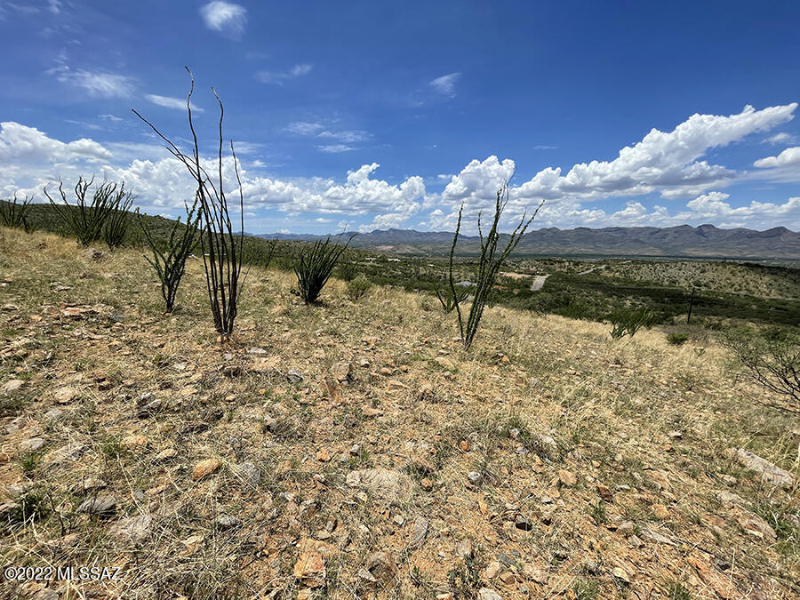 Rio Rico Ranchettes 18 - Land