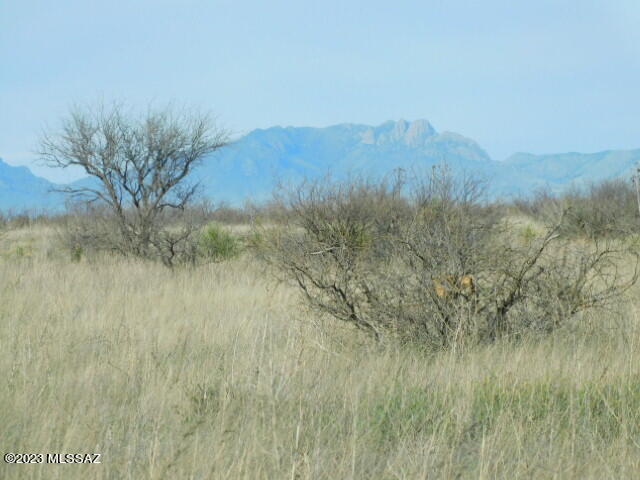 Nice flat 4 acre parcel on corner.   Great views of the Chiricahua Mtns.   1/4  mile off pavement.   County maintained dirt road.  Enjoy Country living.   Ash Creek Elementary  School  1/2 mile from property