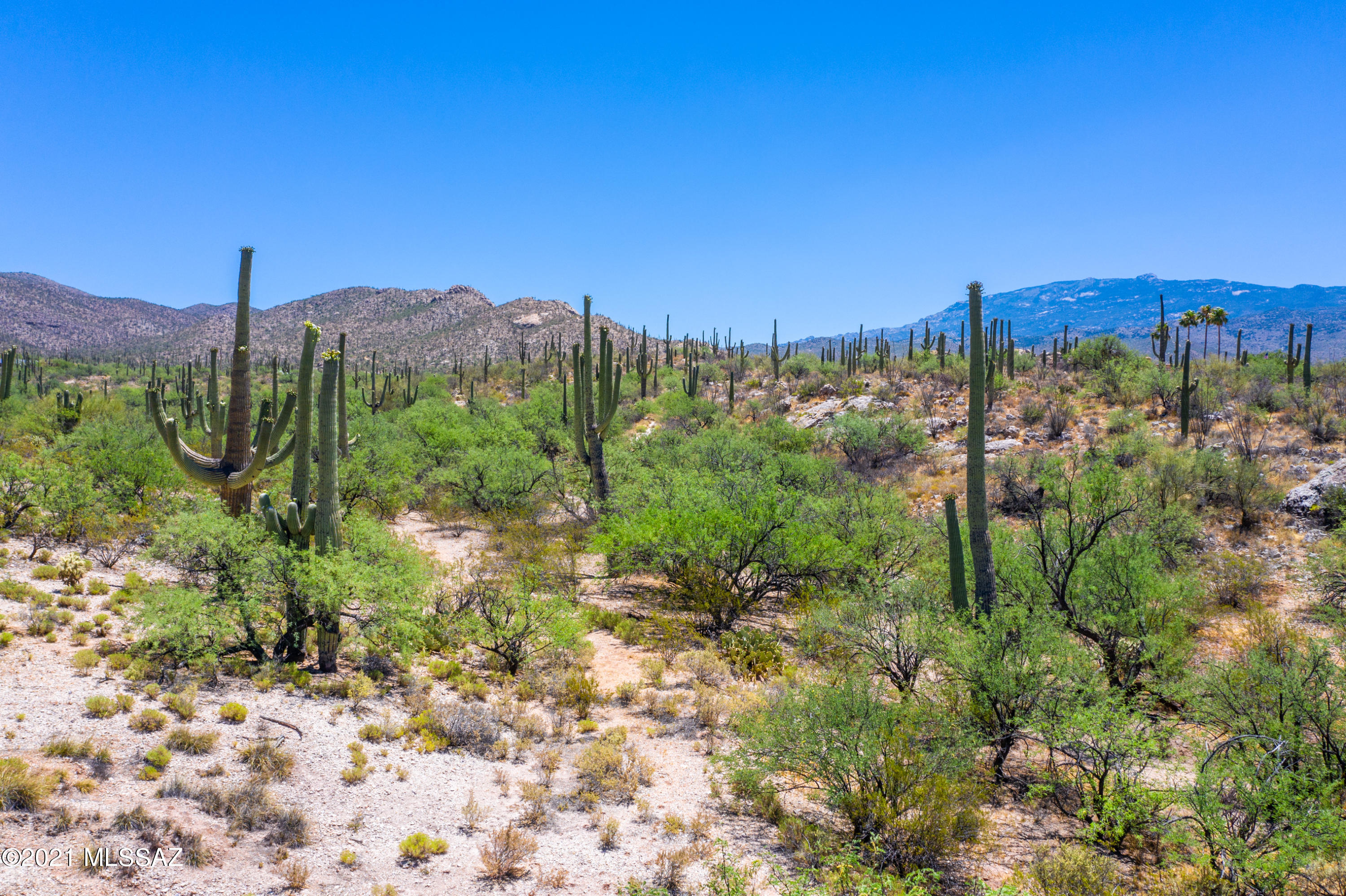 La Cebadilla Estates (1-161) - Land