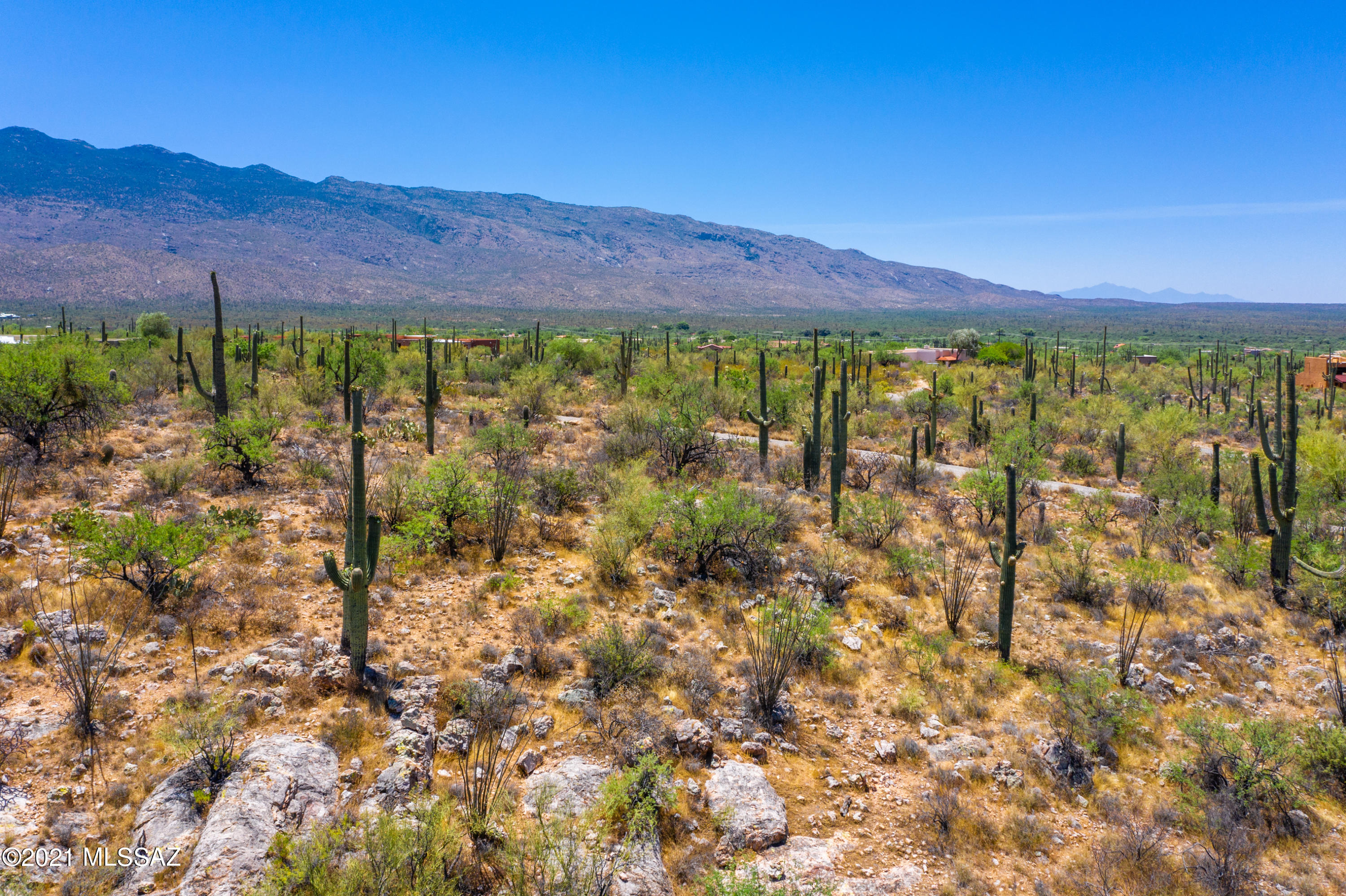 La Cebadilla Estates (1-161) - Land