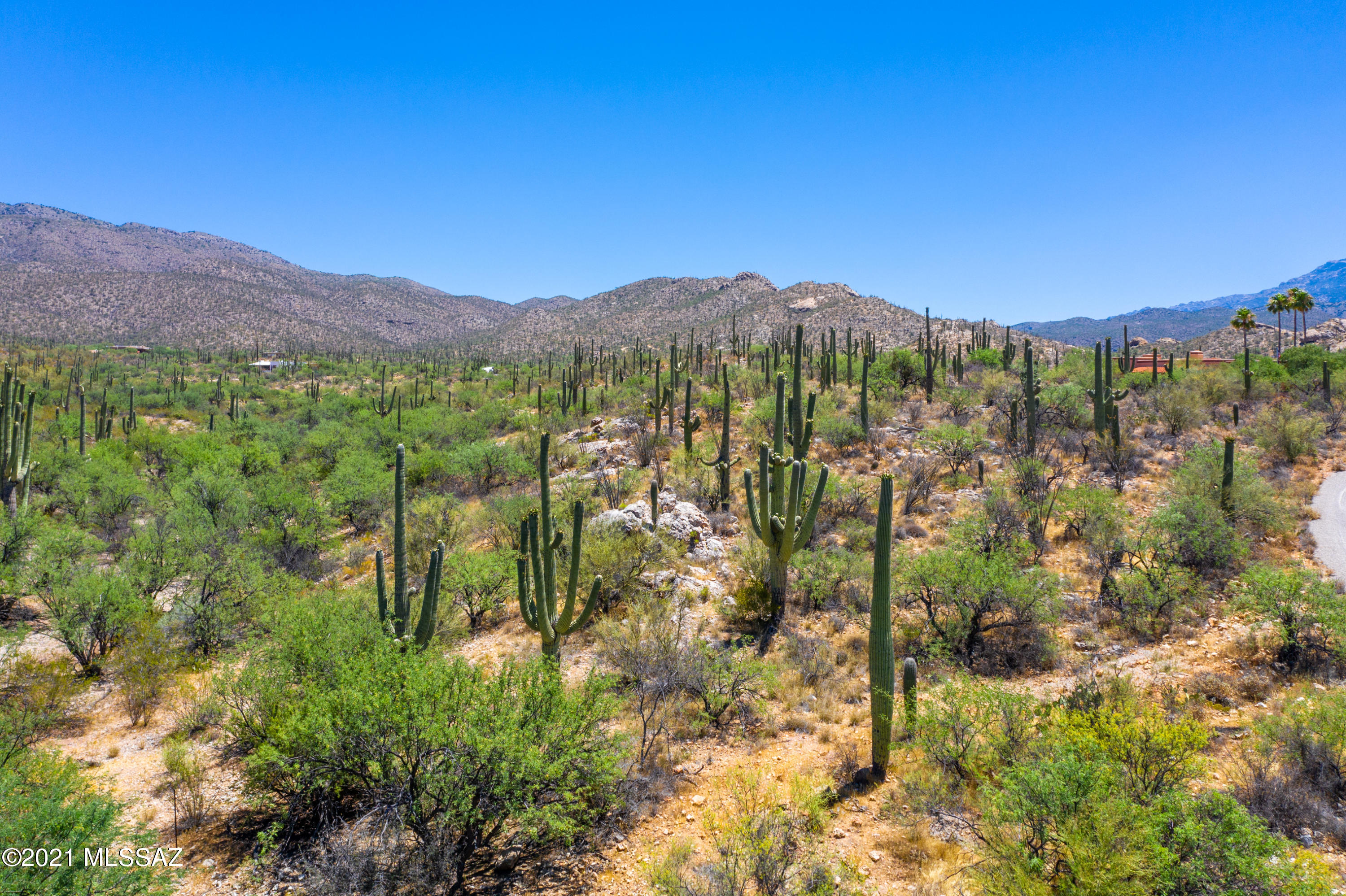 La Cebadilla Estates (1-161) - Land