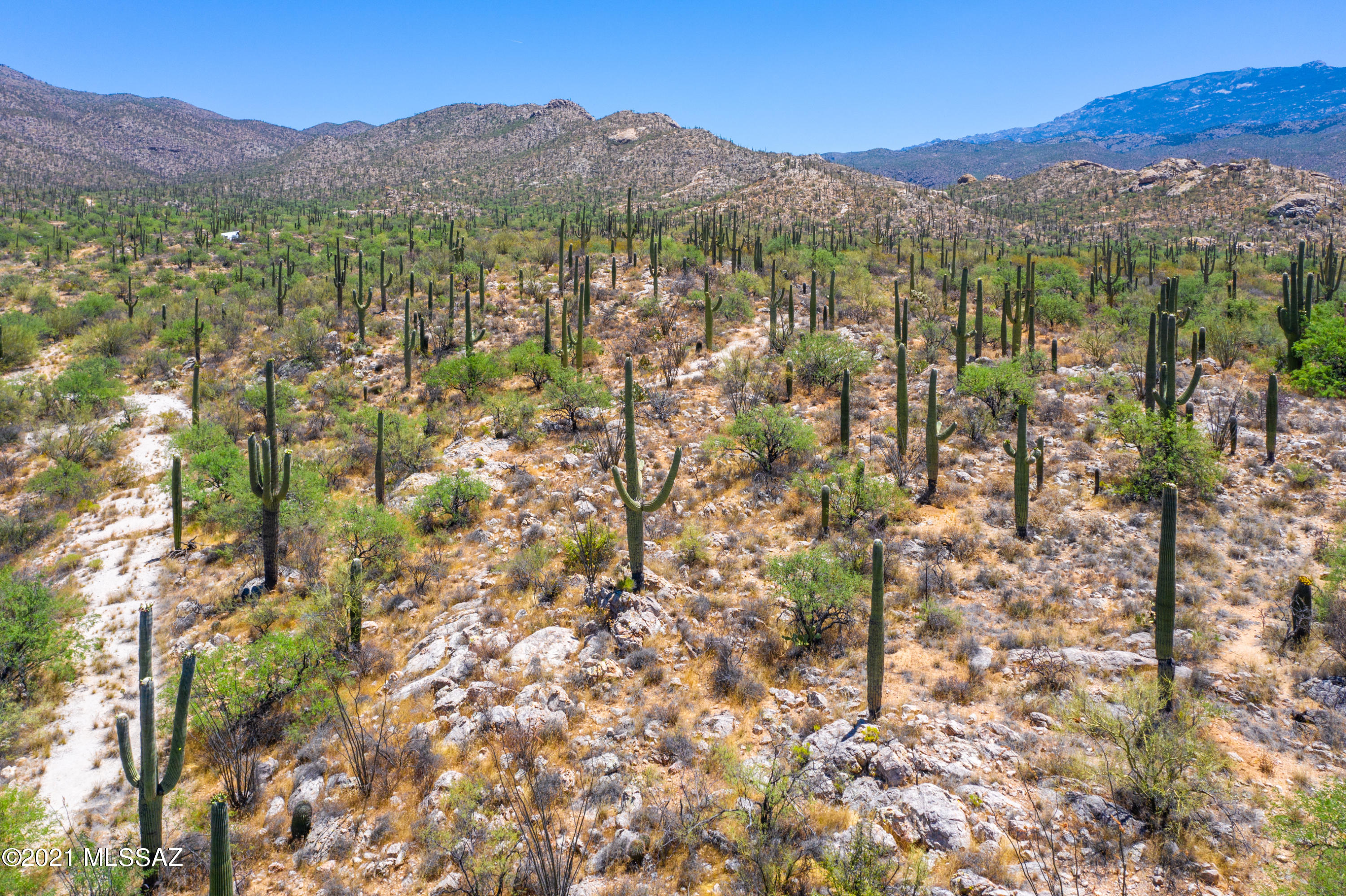 La Cebadilla Estates (1-161) - Land