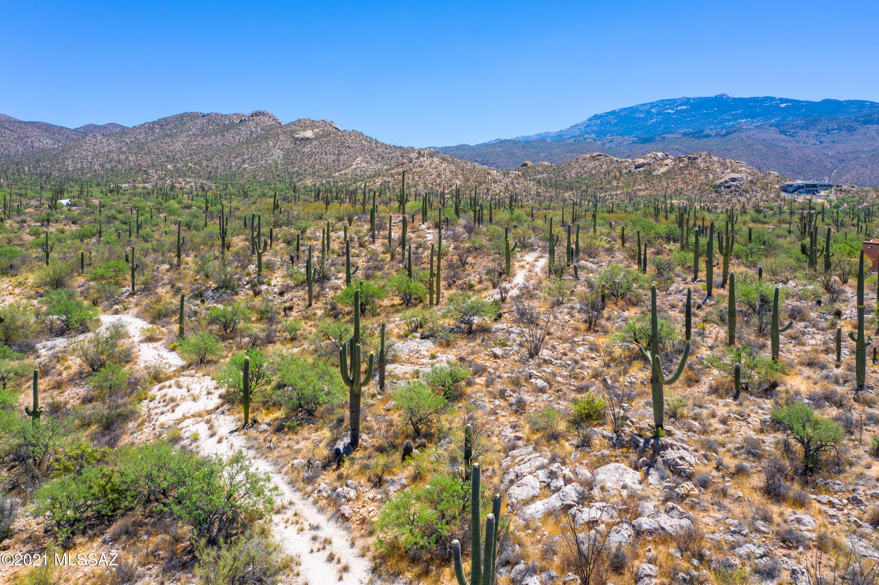 La Cebadilla Estates (1-161) - Land