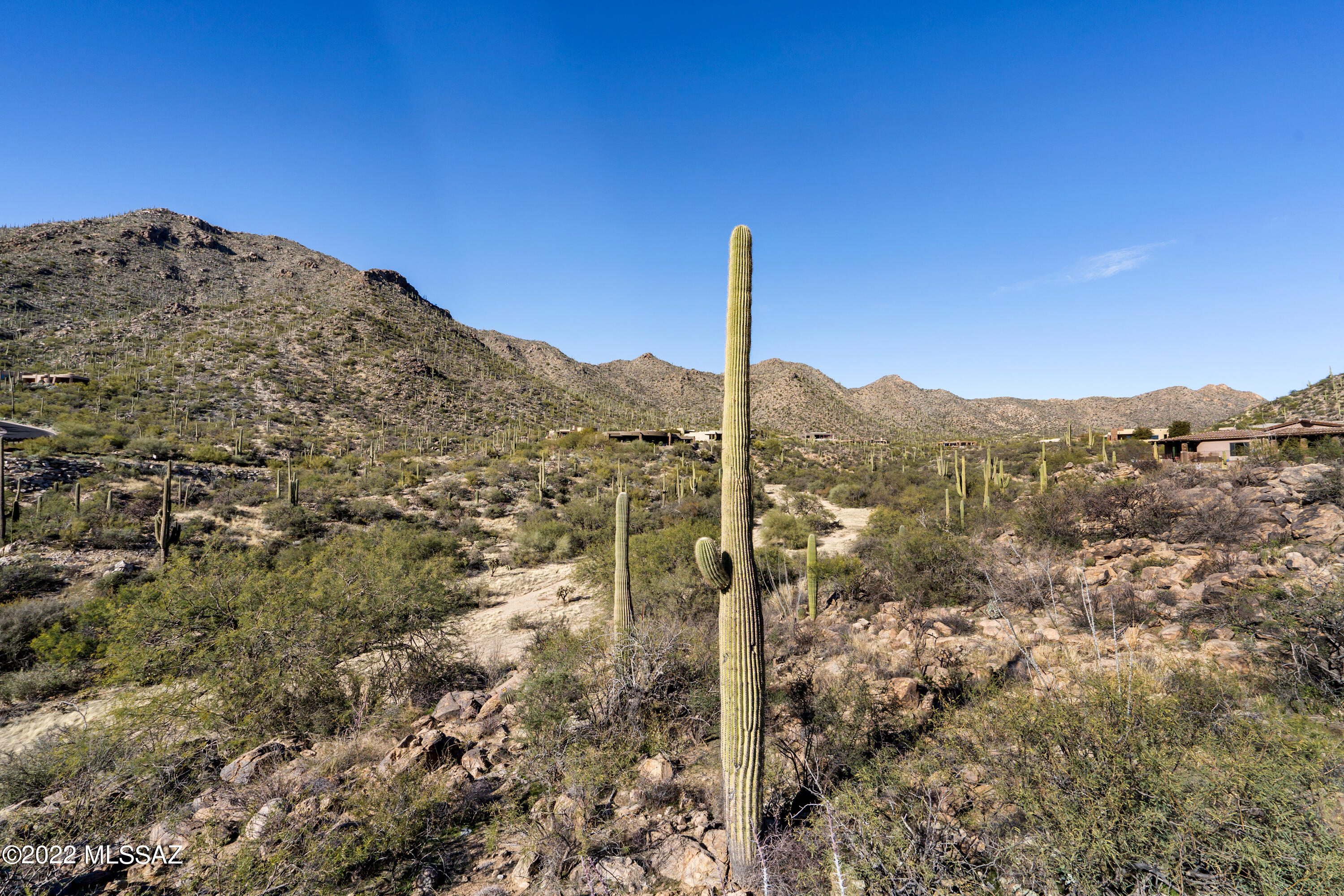 Canyon Pass III At Dove Mountain (111-181) - Land