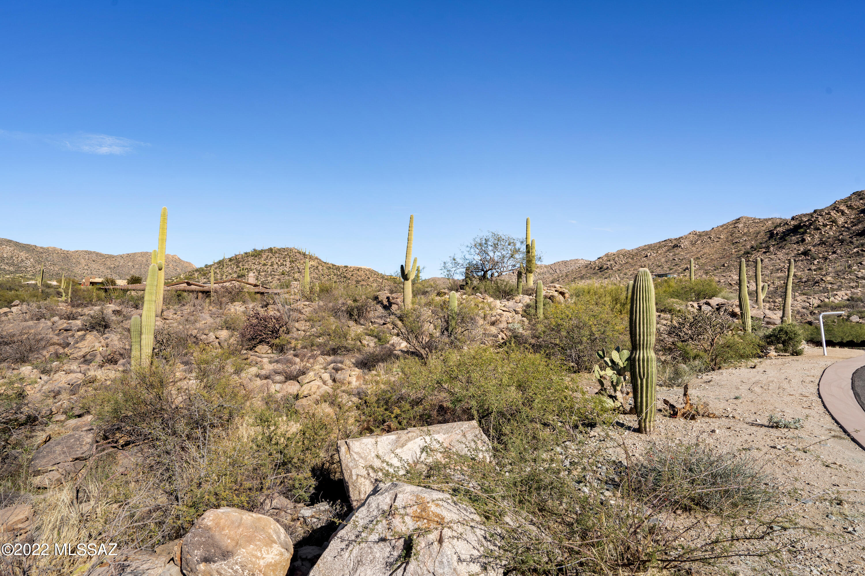Canyon Pass III At Dove Mountain (111-181) - Land
