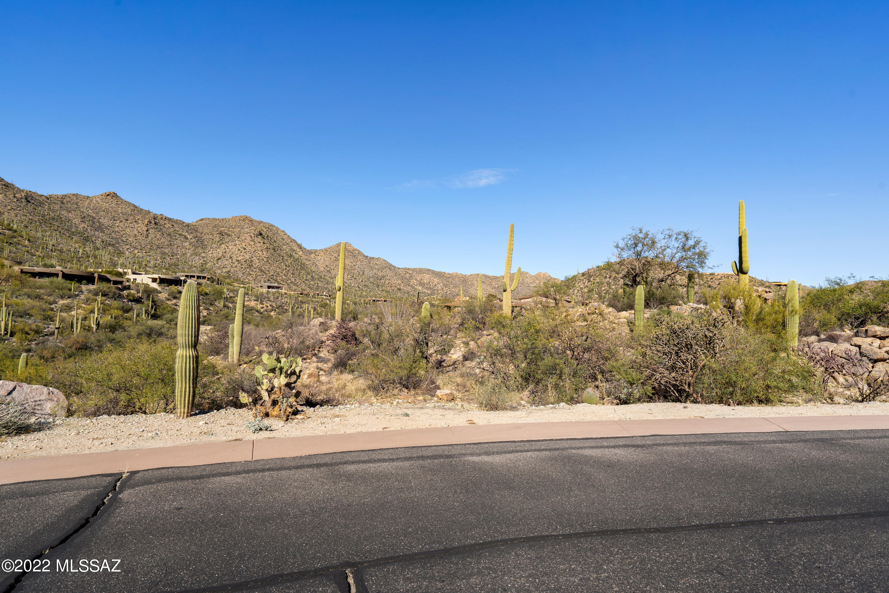 Canyon Pass III At Dove Mountain (111-181) - Land