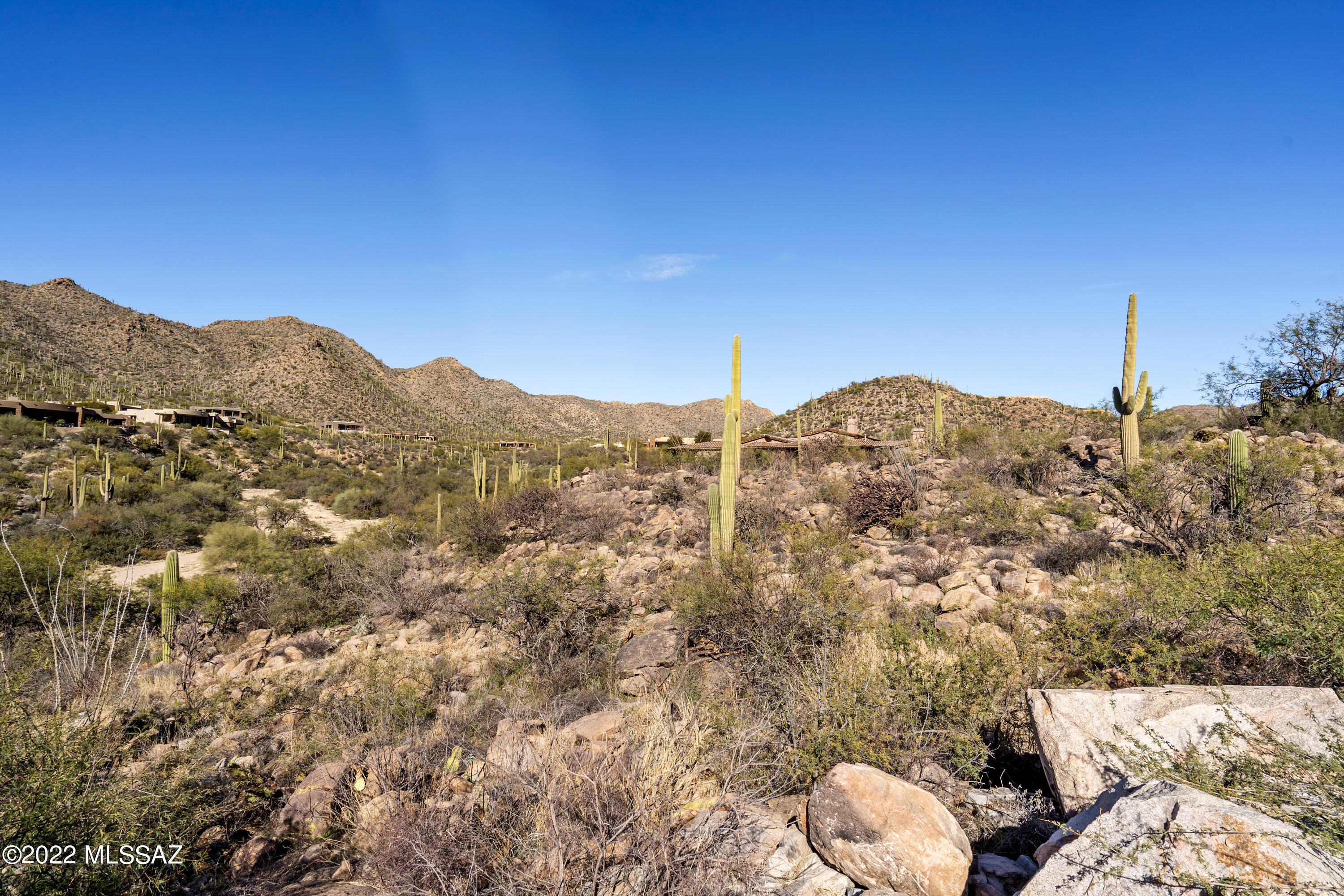 Gorgeous 1.55 Acre saguaro studded lot in coveted Canyon Pass at Dove Mountain. Enjoy desert living at its best. Serene and private yet only minutes from golf, hiking, shopping and everything the Sonoran desert has to offer. Canyon Pass even has its own private hiking trail!