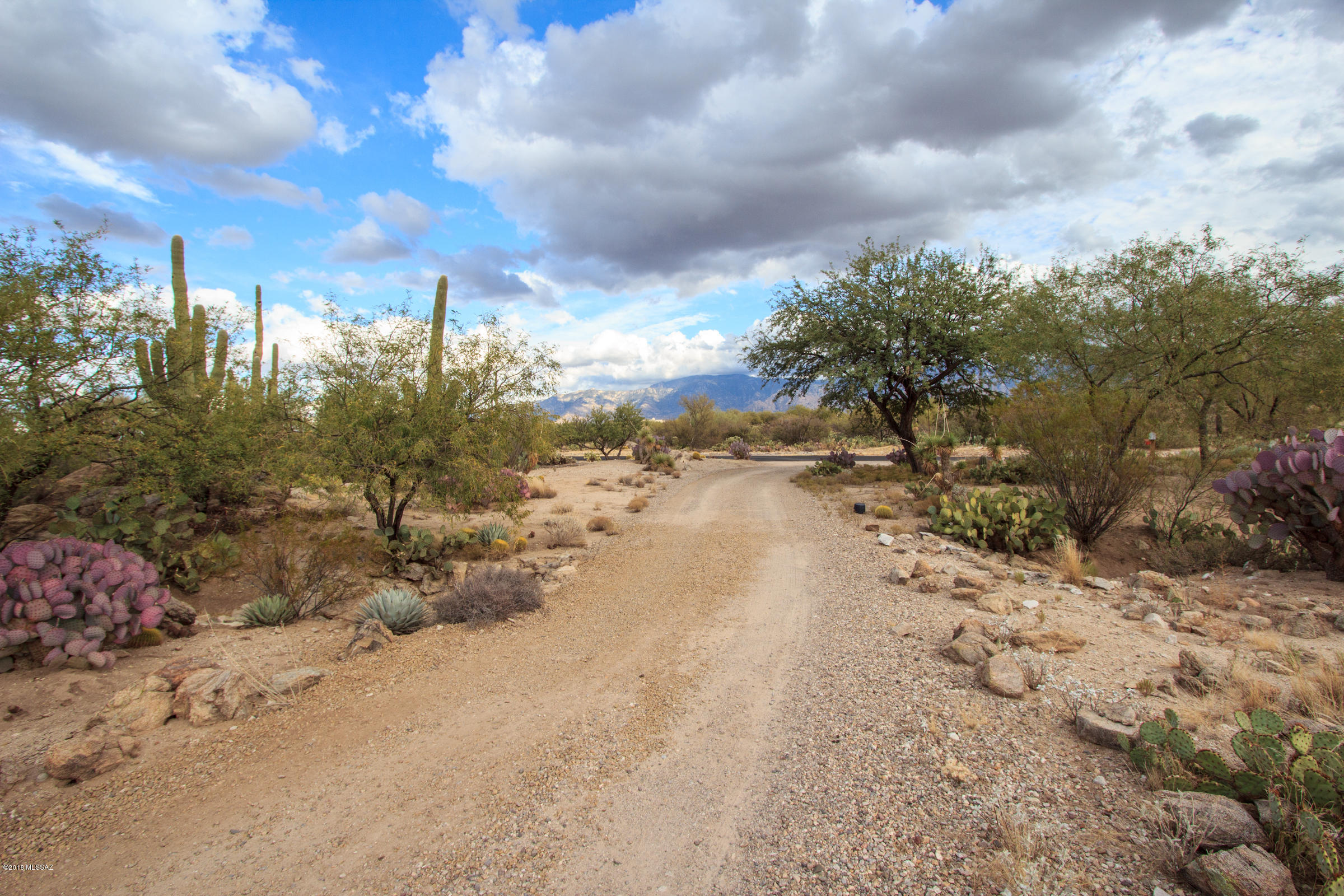 La Cholla Airpark - Residential
