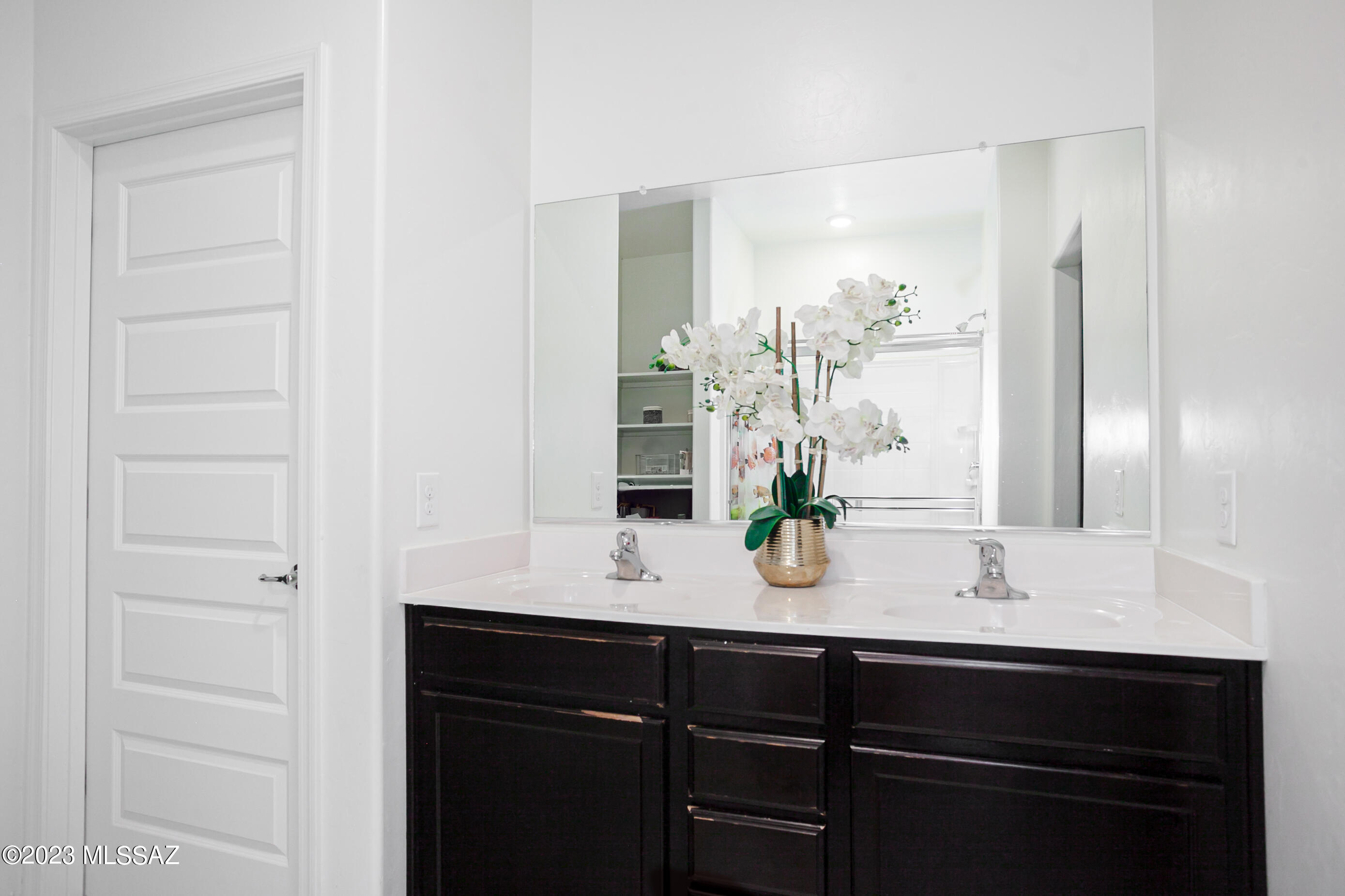 Saguaro Bloom SQ20180540069 - Residential