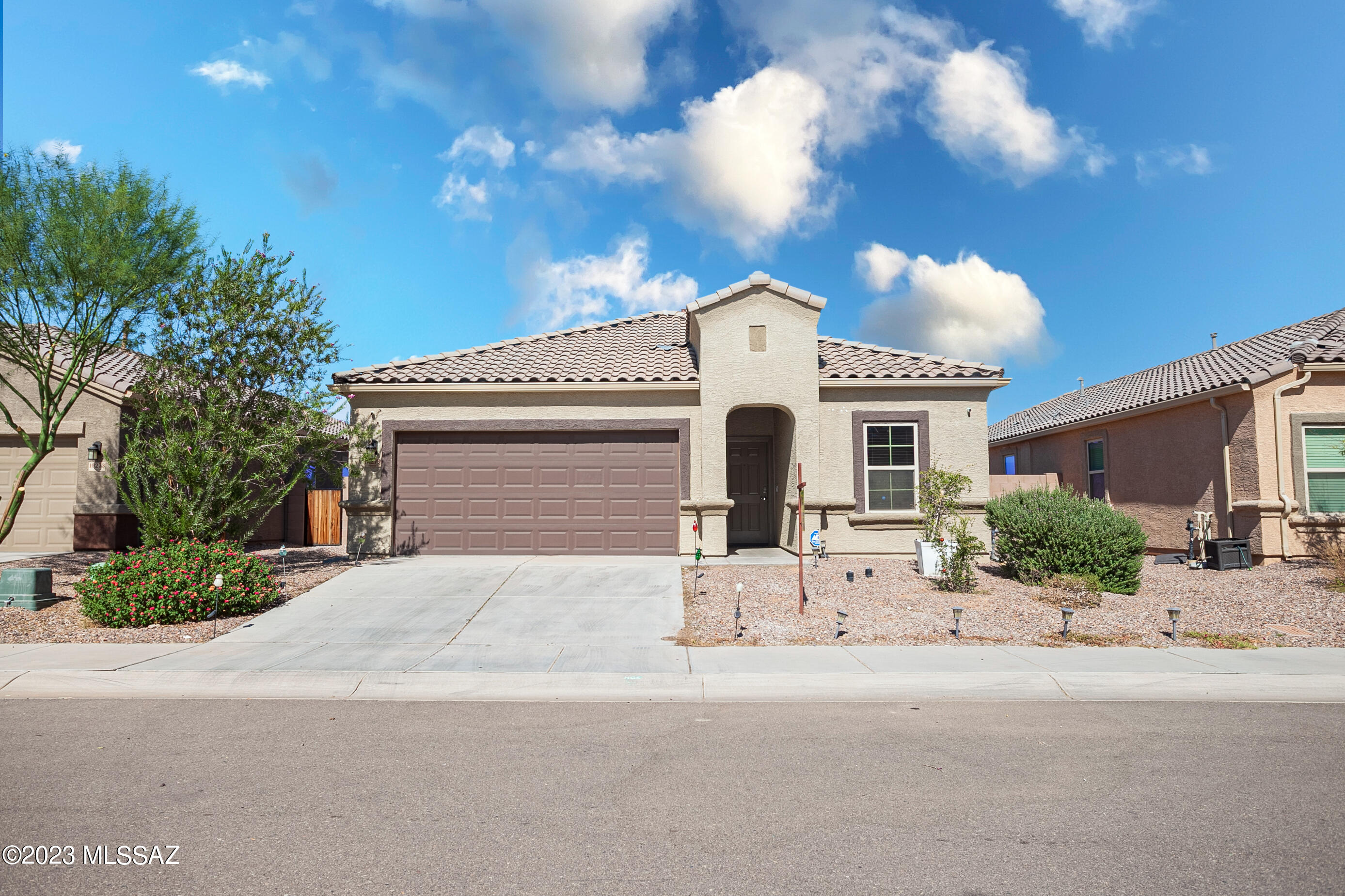 Saguaro Bloom SQ20180540069 - Residential
