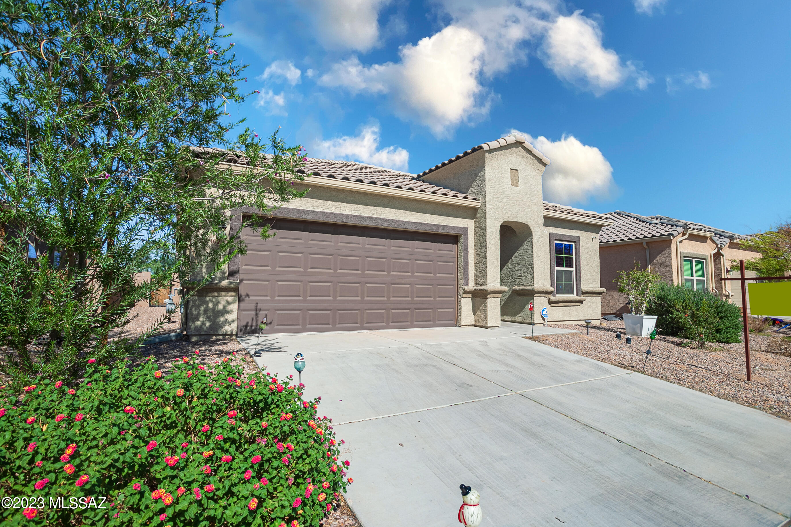 Saguaro Bloom SQ20180540069 - Residential