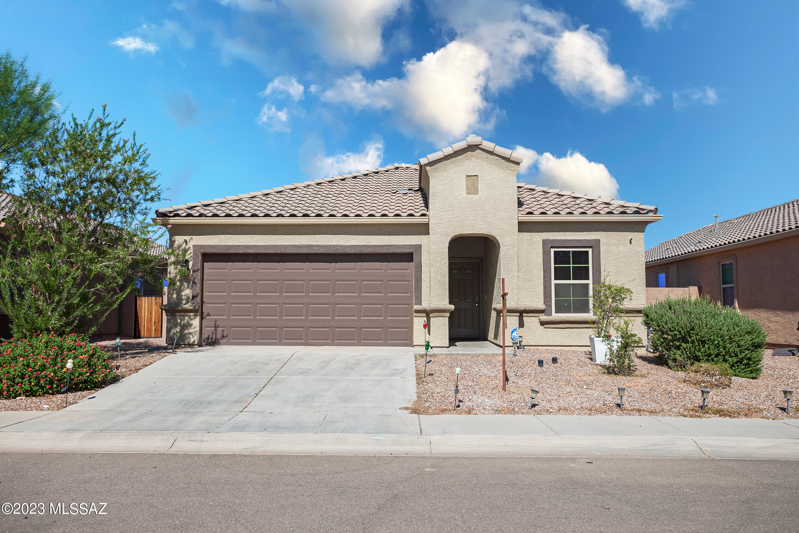 Saguaro Bloom SQ20180540069 - Residential