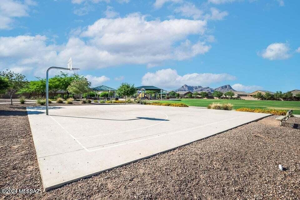 Saguaro Bloom SQ20180540069 - Residential