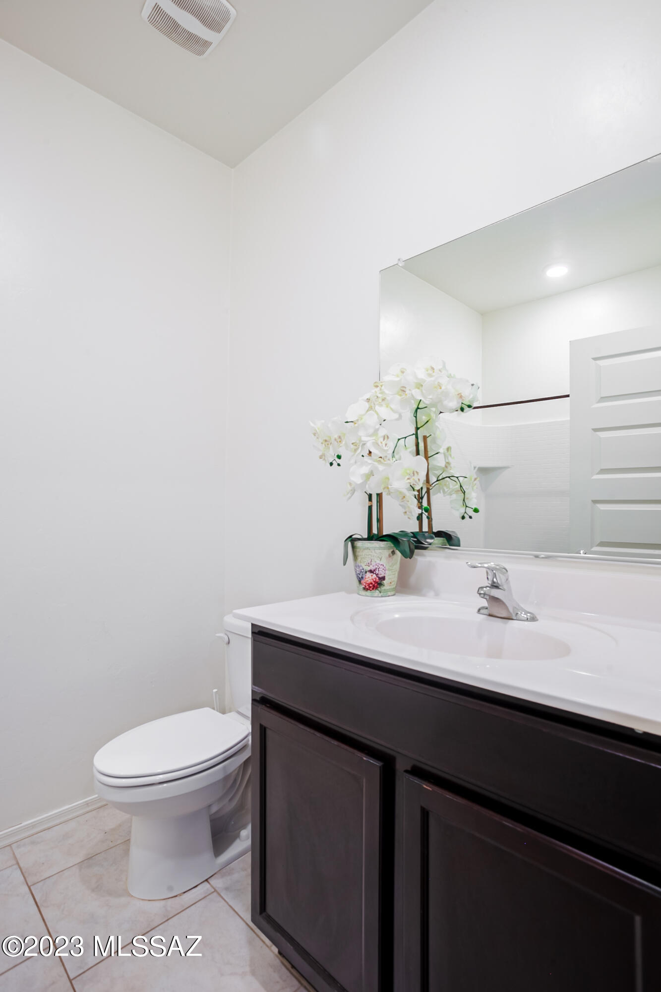 Saguaro Bloom SQ20180540069 - Residential