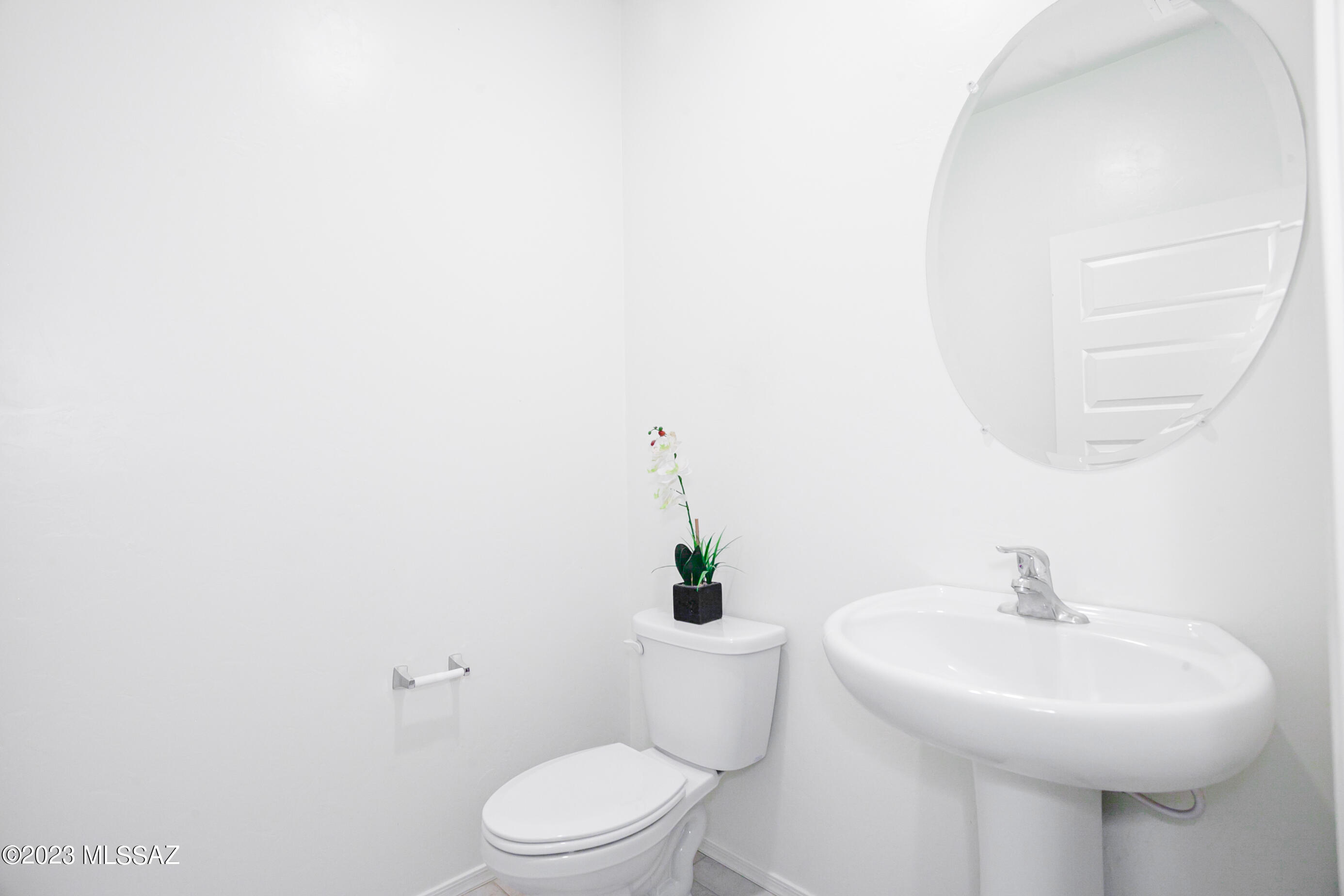 Saguaro Bloom SQ20180540069 - Residential