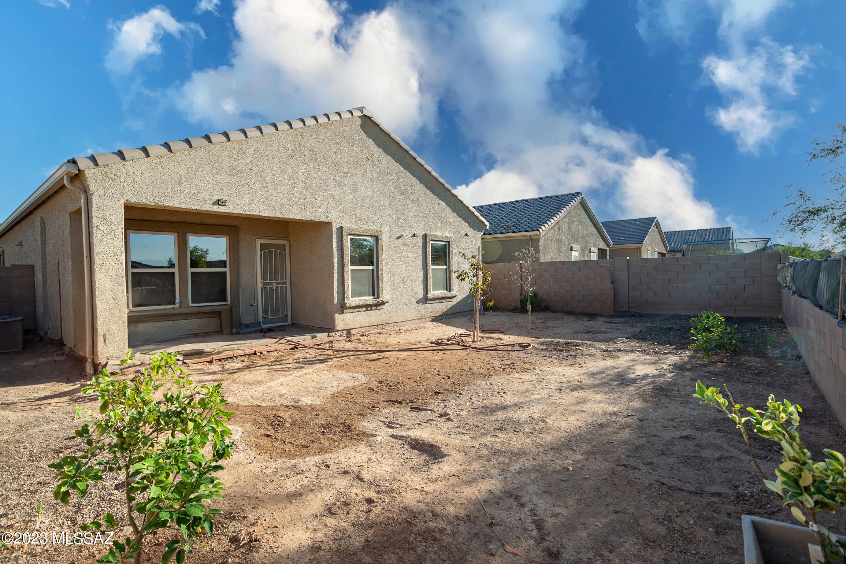 Saguaro Bloom SQ20180540069 - Residential