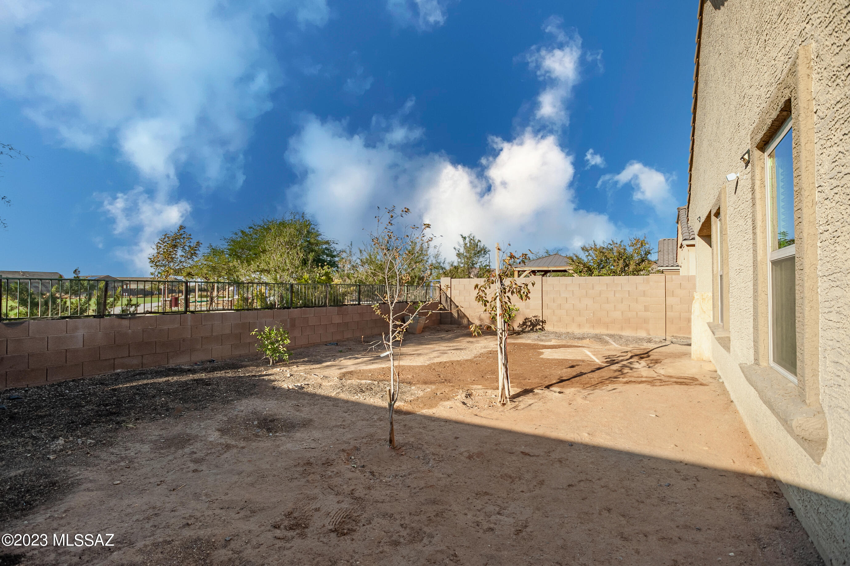 Saguaro Bloom SQ20180540069 - Residential