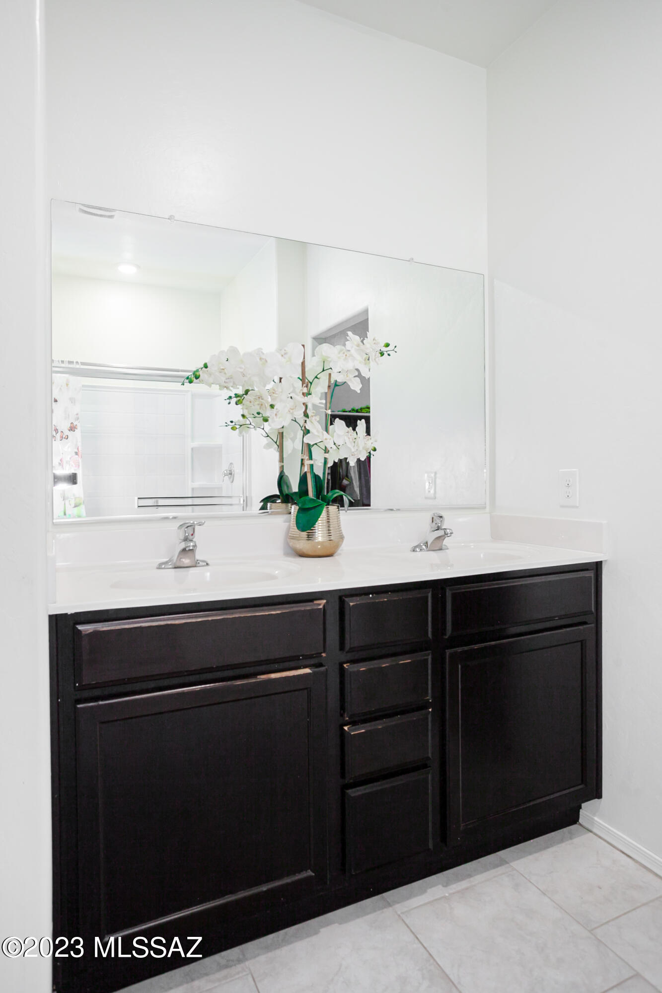 Saguaro Bloom SQ20180540069 - Residential