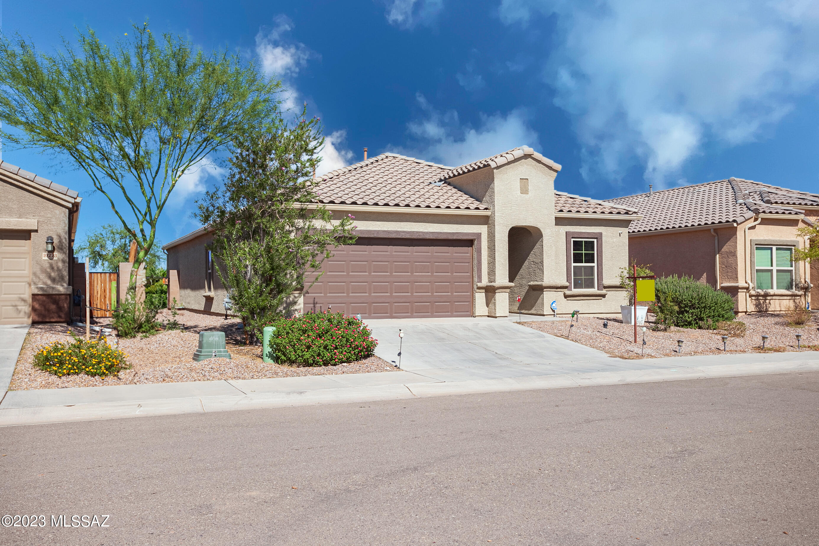 Saguaro Bloom SQ20180540069 - Residential
