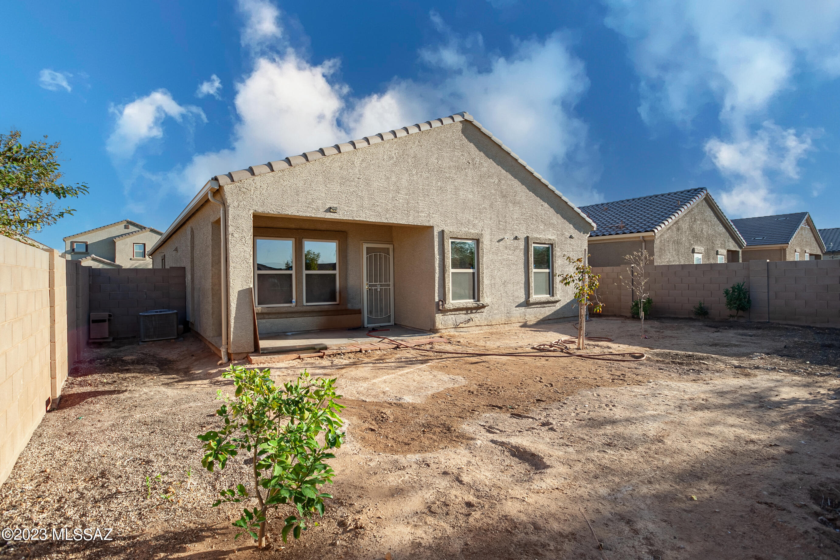 Saguaro Bloom SQ20180540069 - Residential