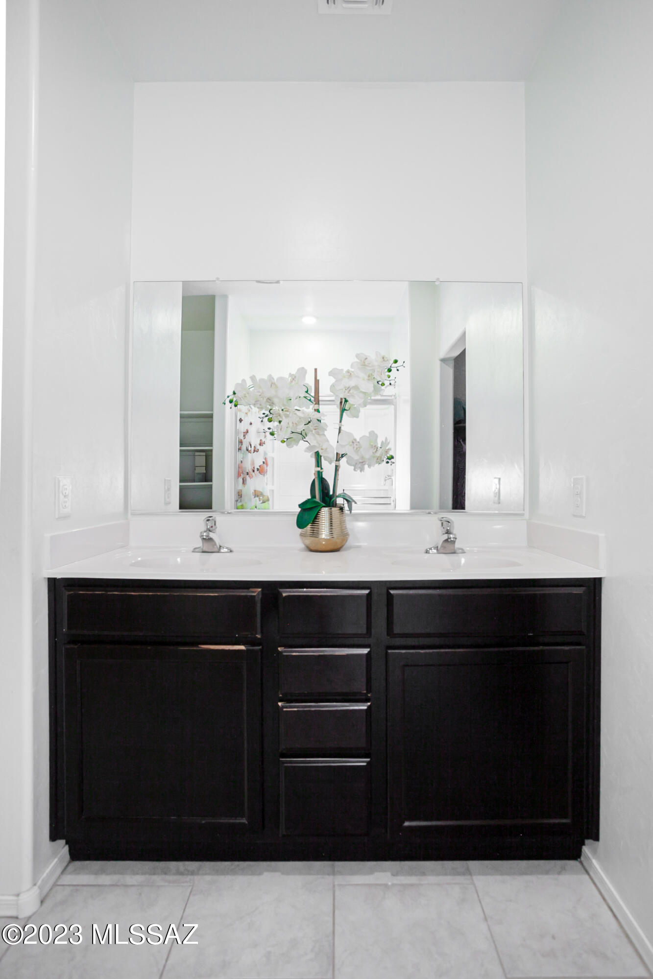 Saguaro Bloom SQ20180540069 - Residential