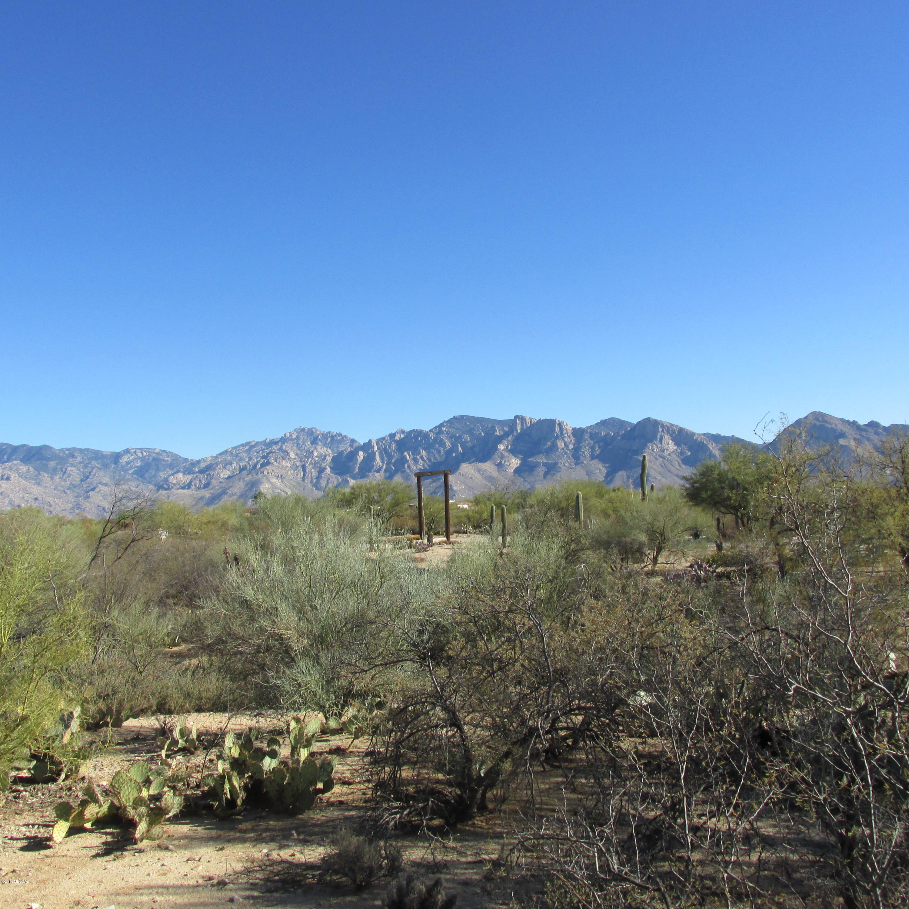 Build your dream home on this lushly vegetative desert 4.36 acre lot near Oro Valley. This lush lot features lush riparian areas on the East and West sides of the property to maximize yur privacy. The Catalina and Tortolita mountain views enchance your serenity. The electric and phone utilities are to the lot lines and the shared well has good capacity. One owner is a licensed real estate agent in Arizona.