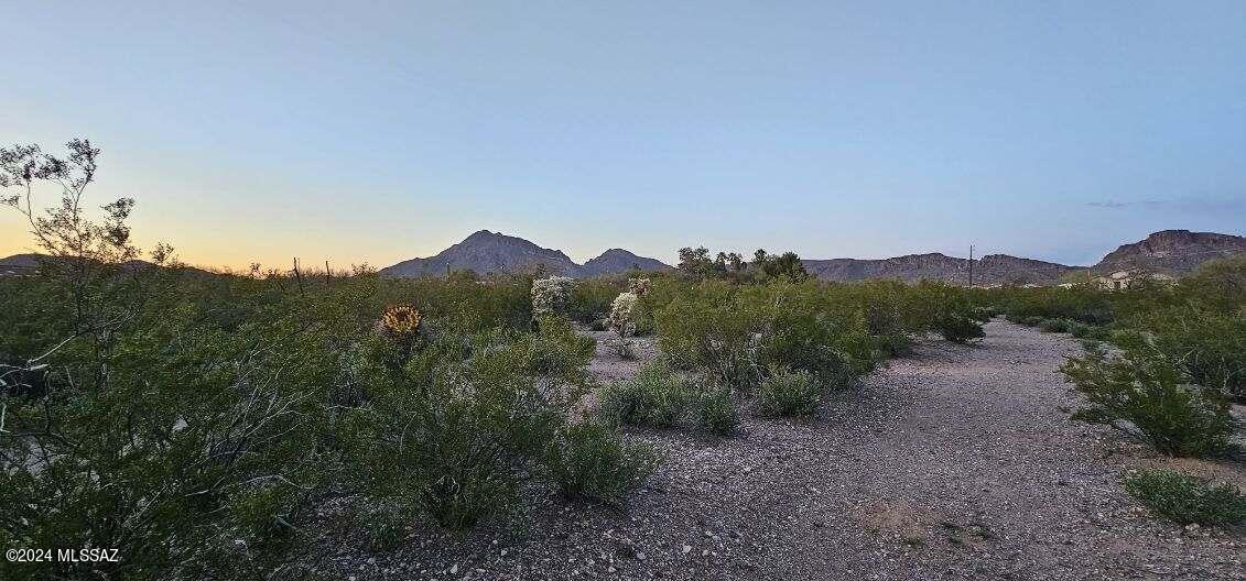 Other/Unknown - Land