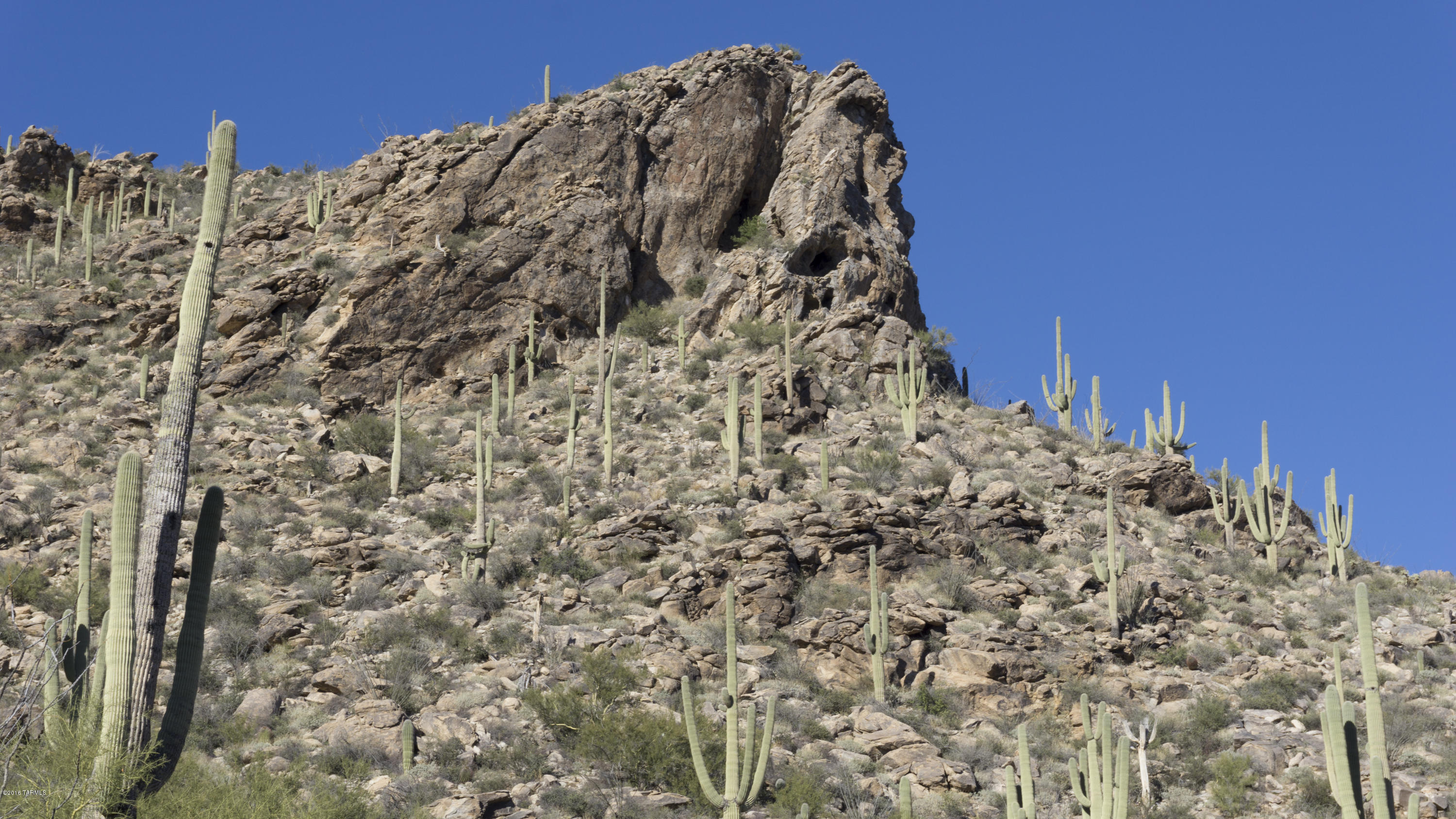 Saguaro Ranch (9-52) Blks. 1-4 - Land