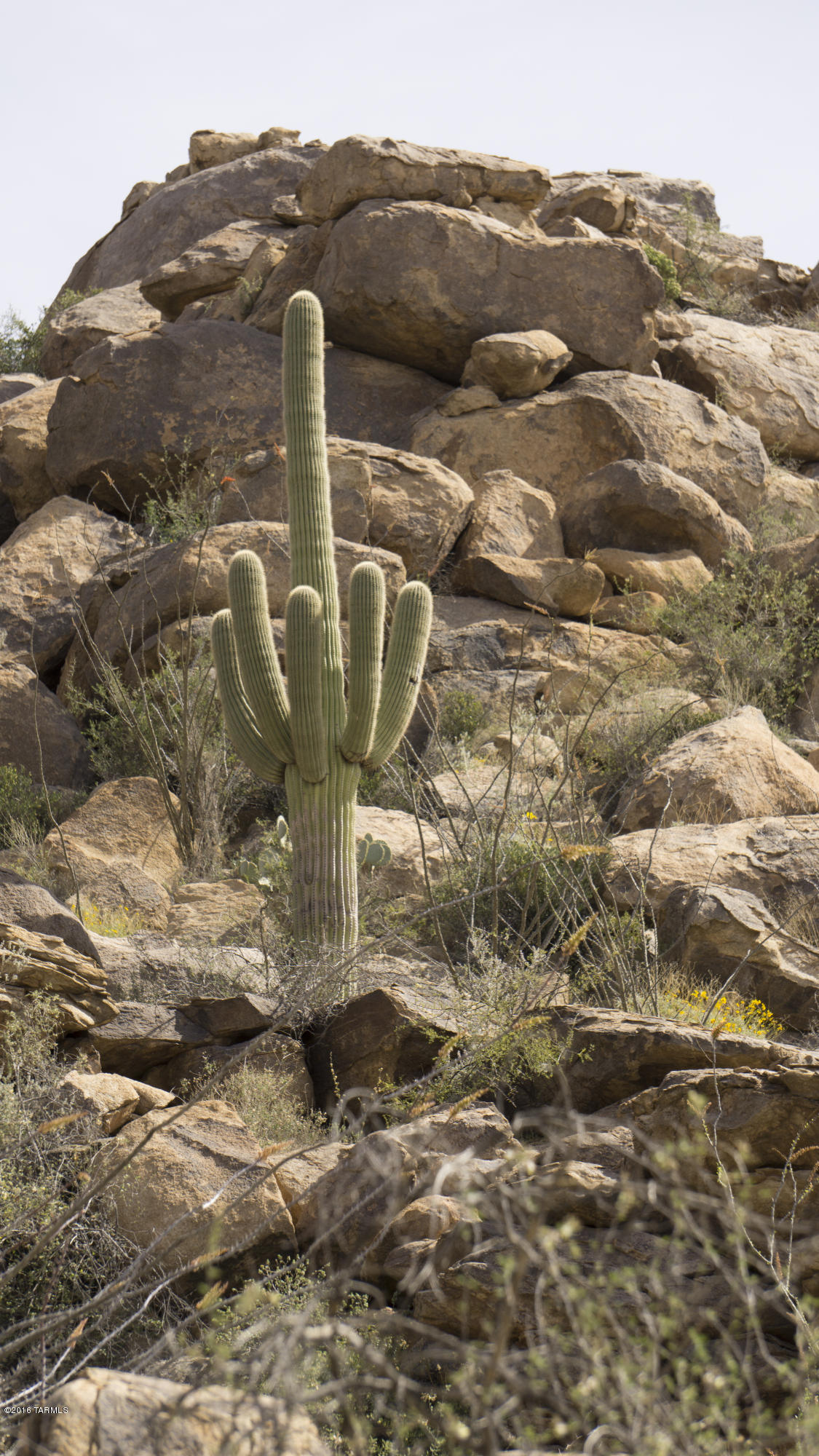 Saguaro Ranch (9-52) Blks. 1-4 - Land