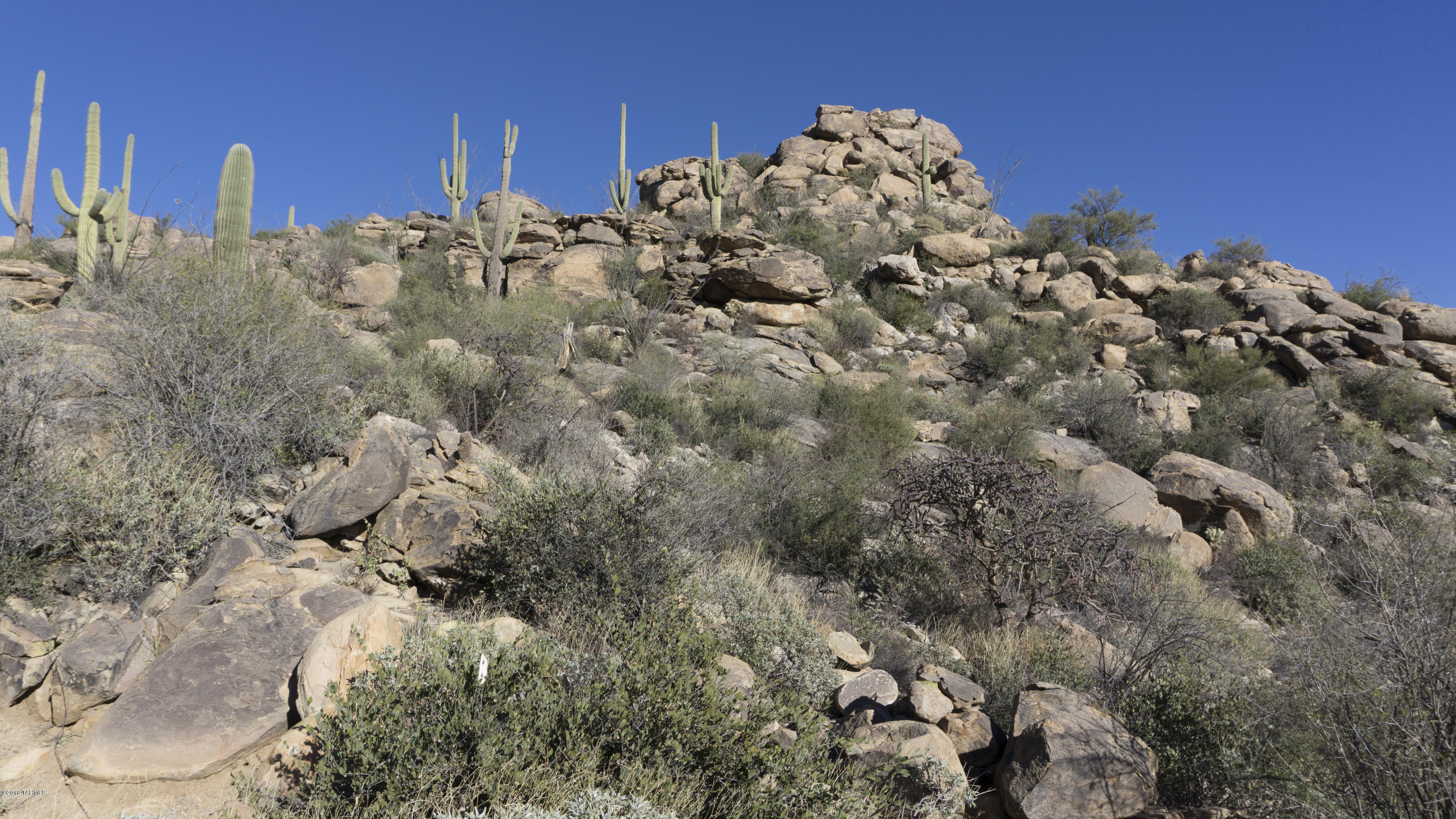 Saguaro Ranch (9-52) Blks. 1-4 - Land