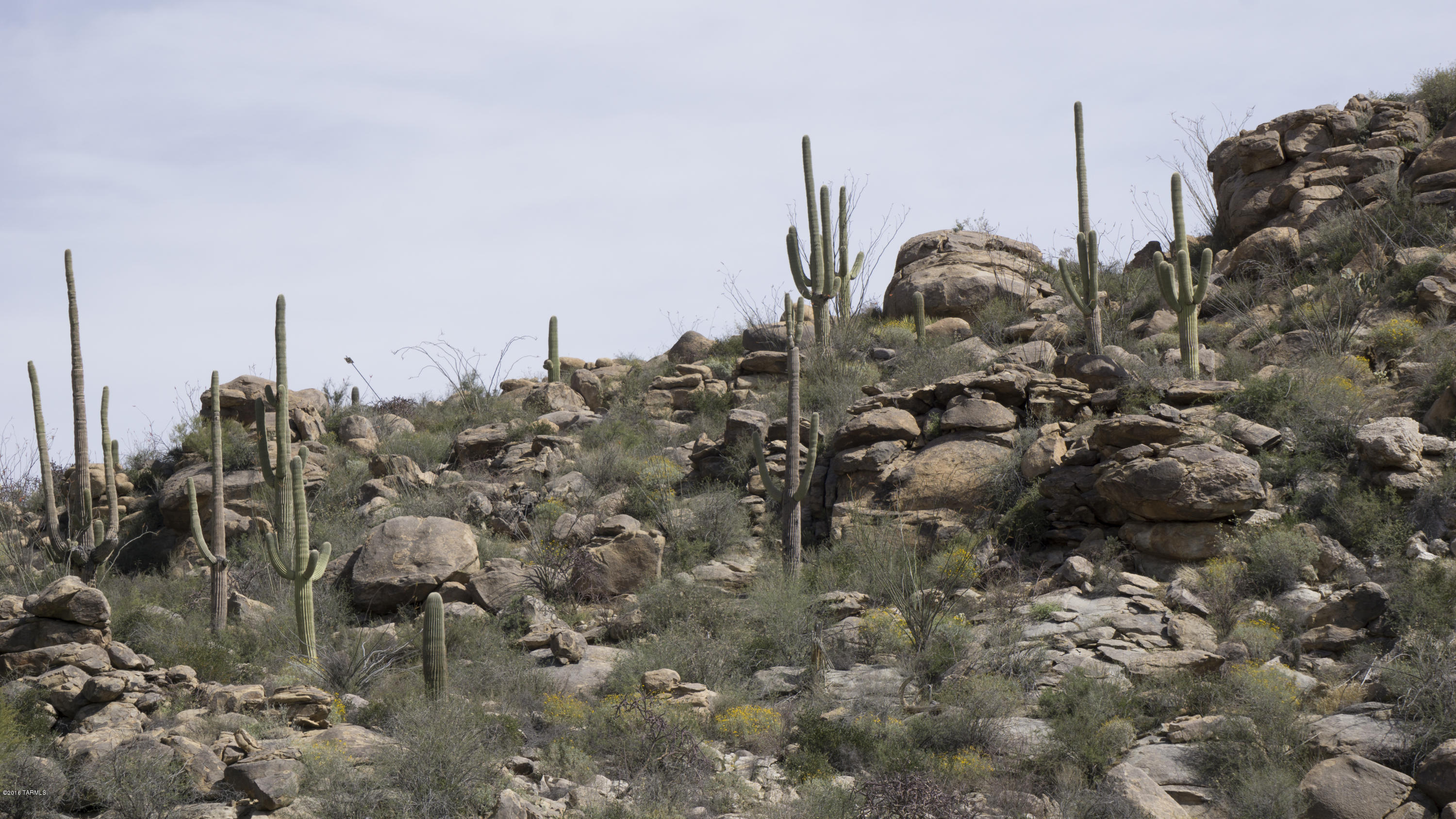 Saguaro Ranch (9-52) Blks. 1-4 - Land