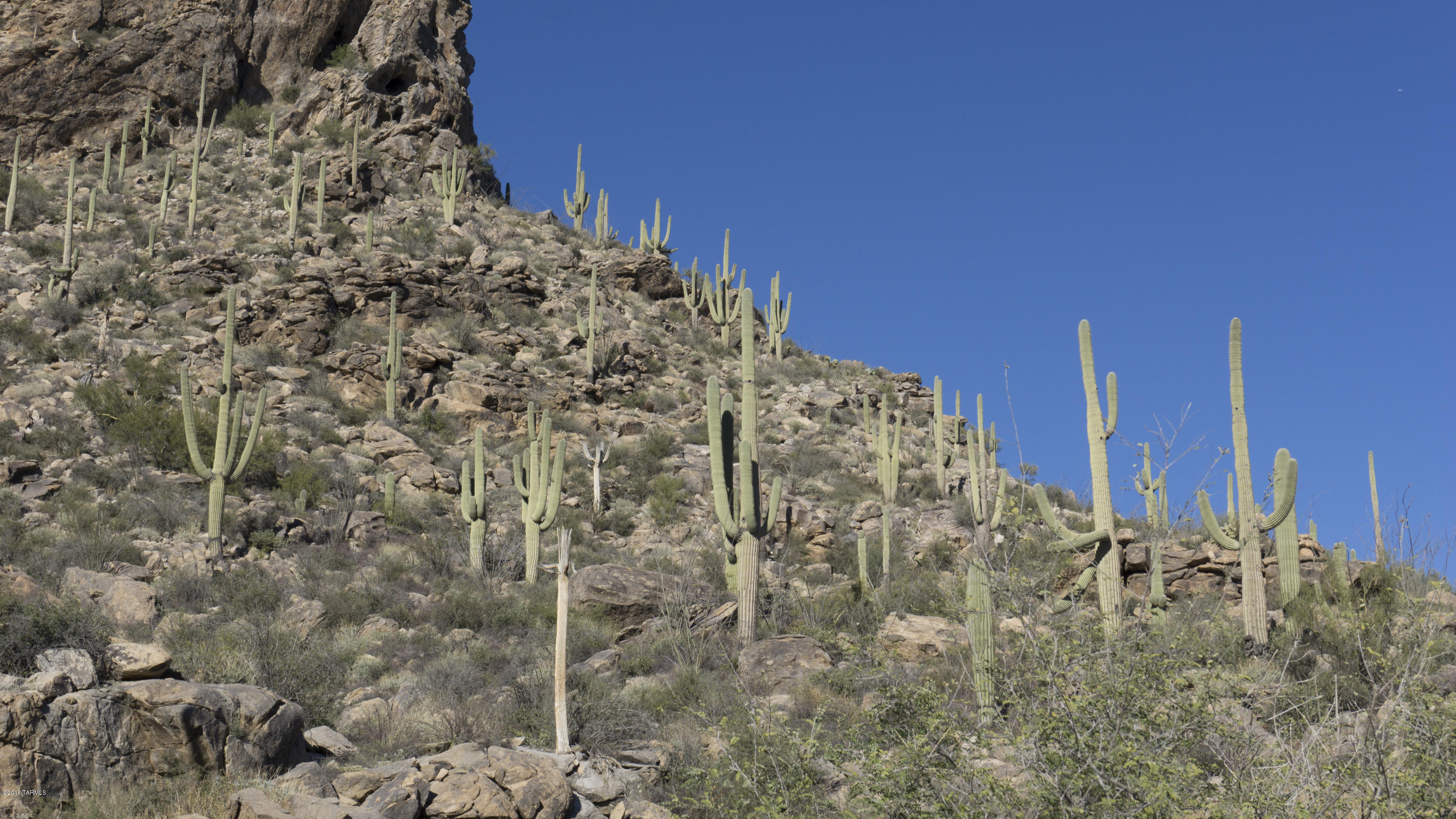 Saguaro Ranch (9-52) Blks. 1-4 - Land