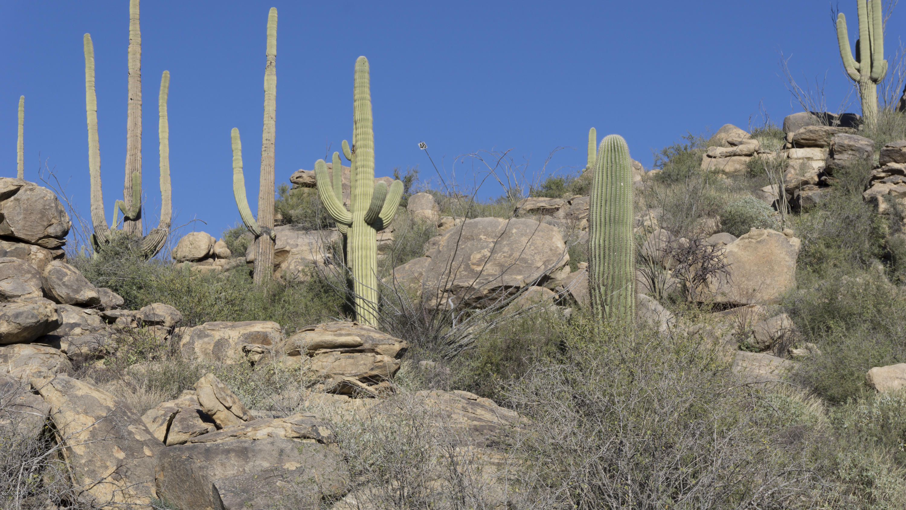 VIEWS AND MORE VIEWS! FROM CATALINA MOUNTAINS TO TUCSON CITY LIGHTS, ENJOY ONE OF THE HIGHEST POINTS IN THE UNIQUE ENCLAVE. BOULDERS AND MAJESTIC SAGUAROS ABOUND ON THIS WONDERFUL PARCEL READY TO BE BUILD ON. BRING YOUR ARTCHITECT AND START DESIGNING YOUR DREAM HOME.