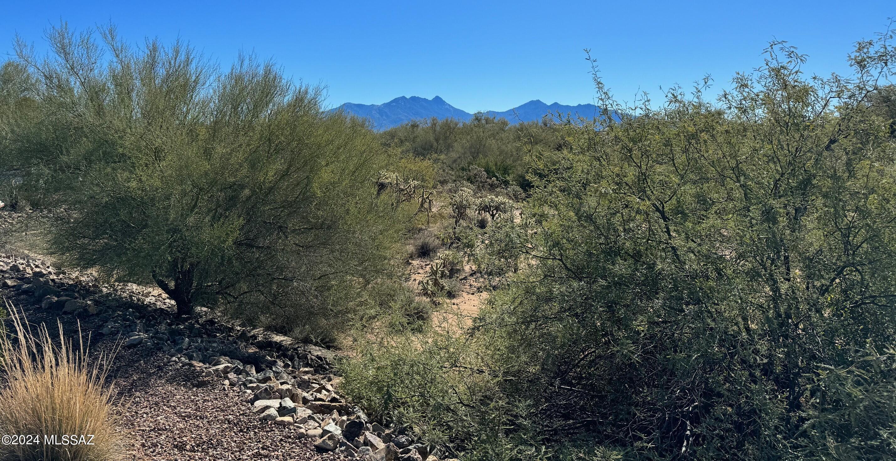 Quail Creek II Unit 14 - Land