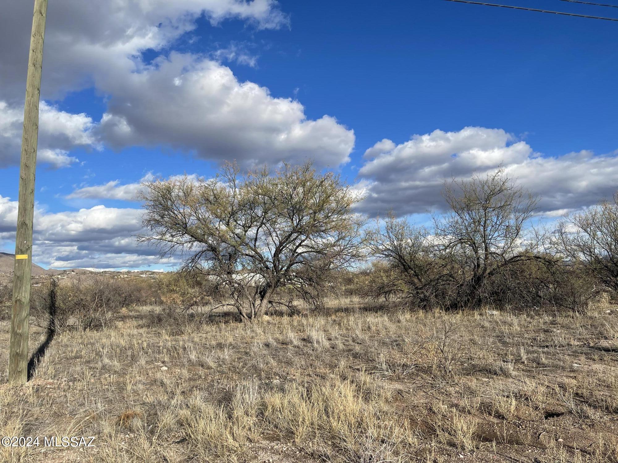 Rio Rico  Unit No 7 - Land