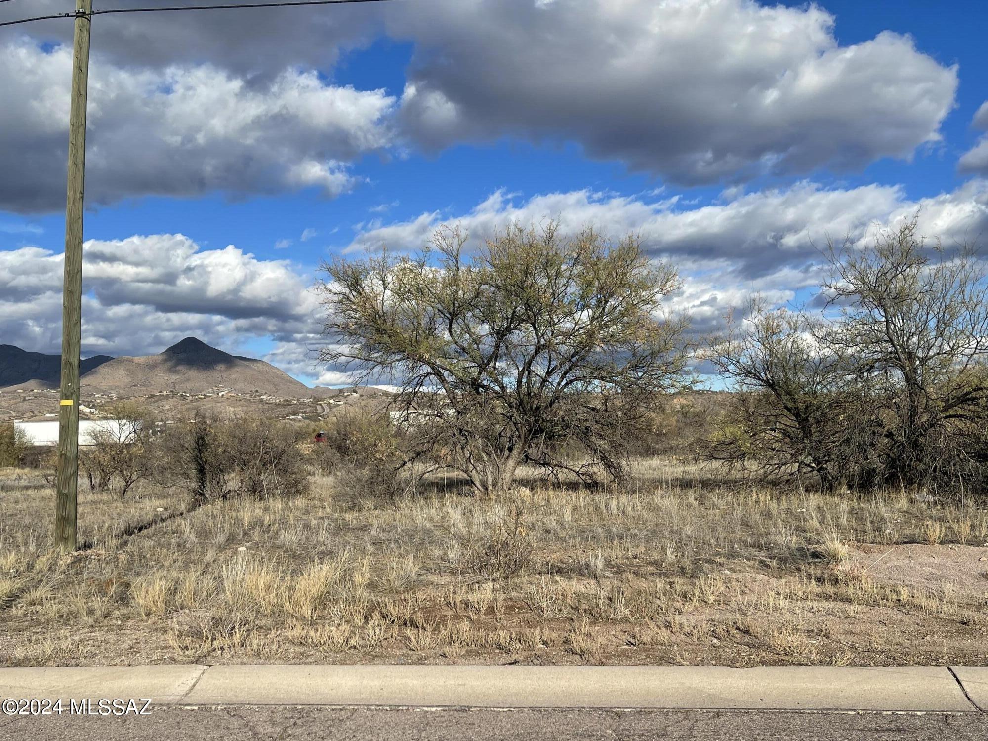 Excellent investment opportunity to start your dream business on this 10481 sq. ft (.24) acre lot.  Water and electricity are next to the property.   Surrounded by other businesses located along the Rio Rico commercial strip and a growing community.   Option to set up a restaurant, retail, convenience store, coffee shop, daycare and much more.   Centrally located in Rio Rico with easy access to the freeway.