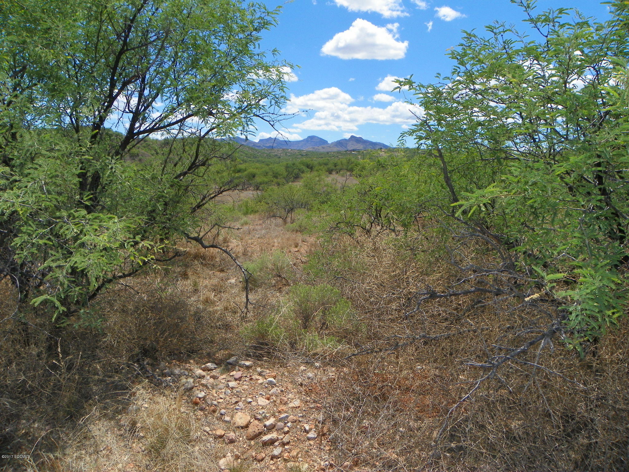 Dramatic view lot with close access to Interstate, schools and store. Electric and water at the street, road is paved.