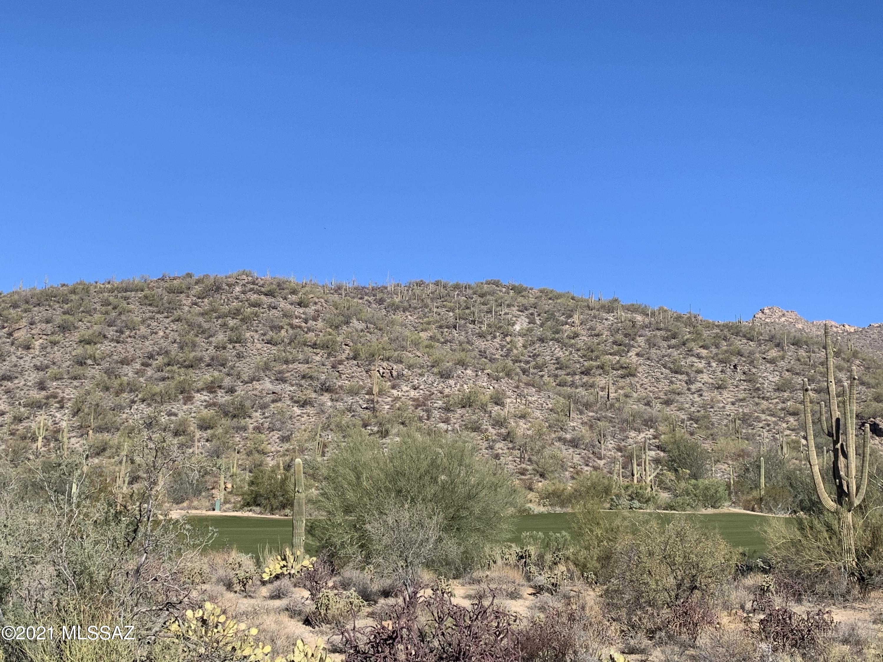 Dove Mountain Resort (1-153) - Land