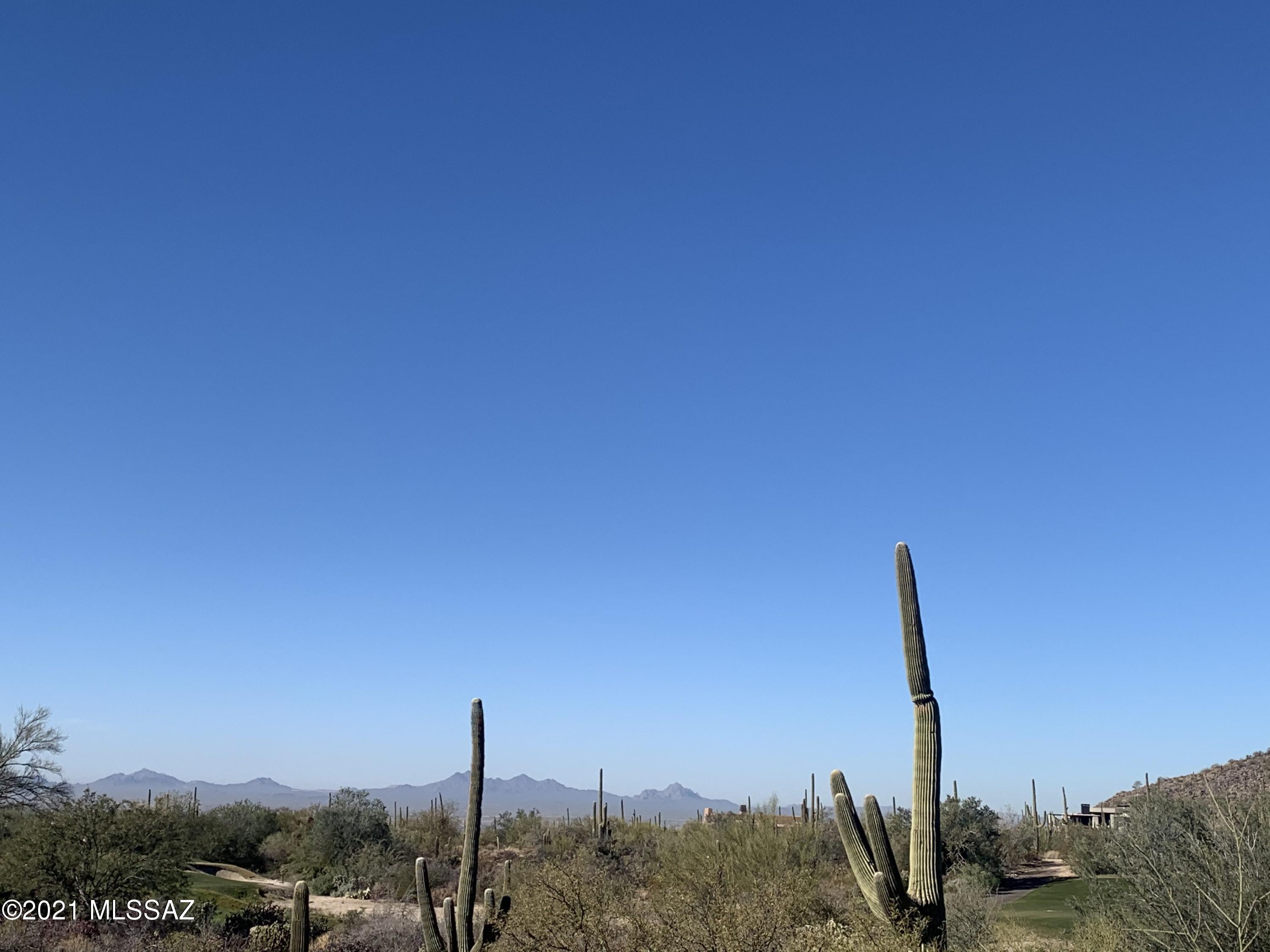 Dove Mountain Resort (1-153) - Land