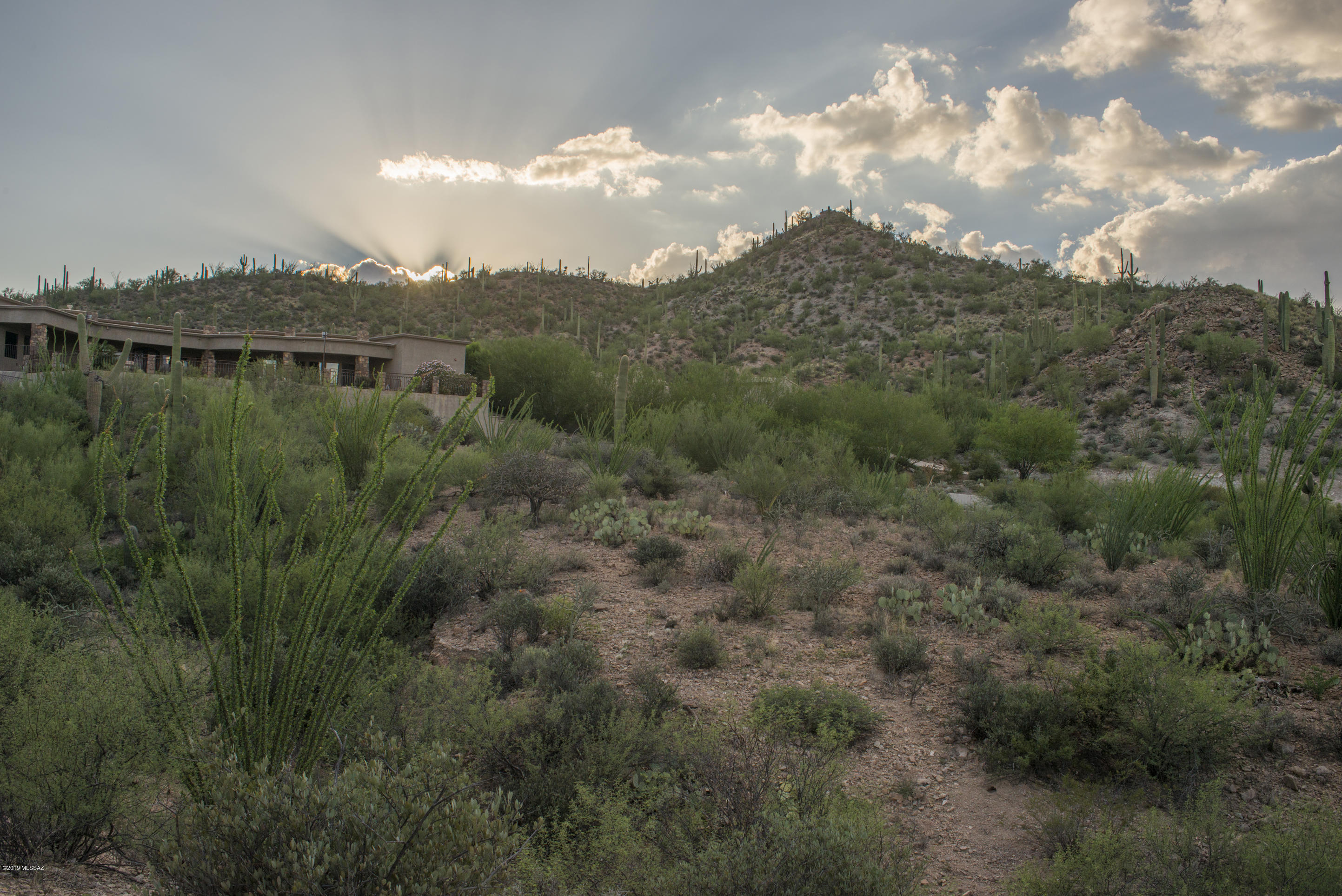Wildcat Pass (1-61) - Land