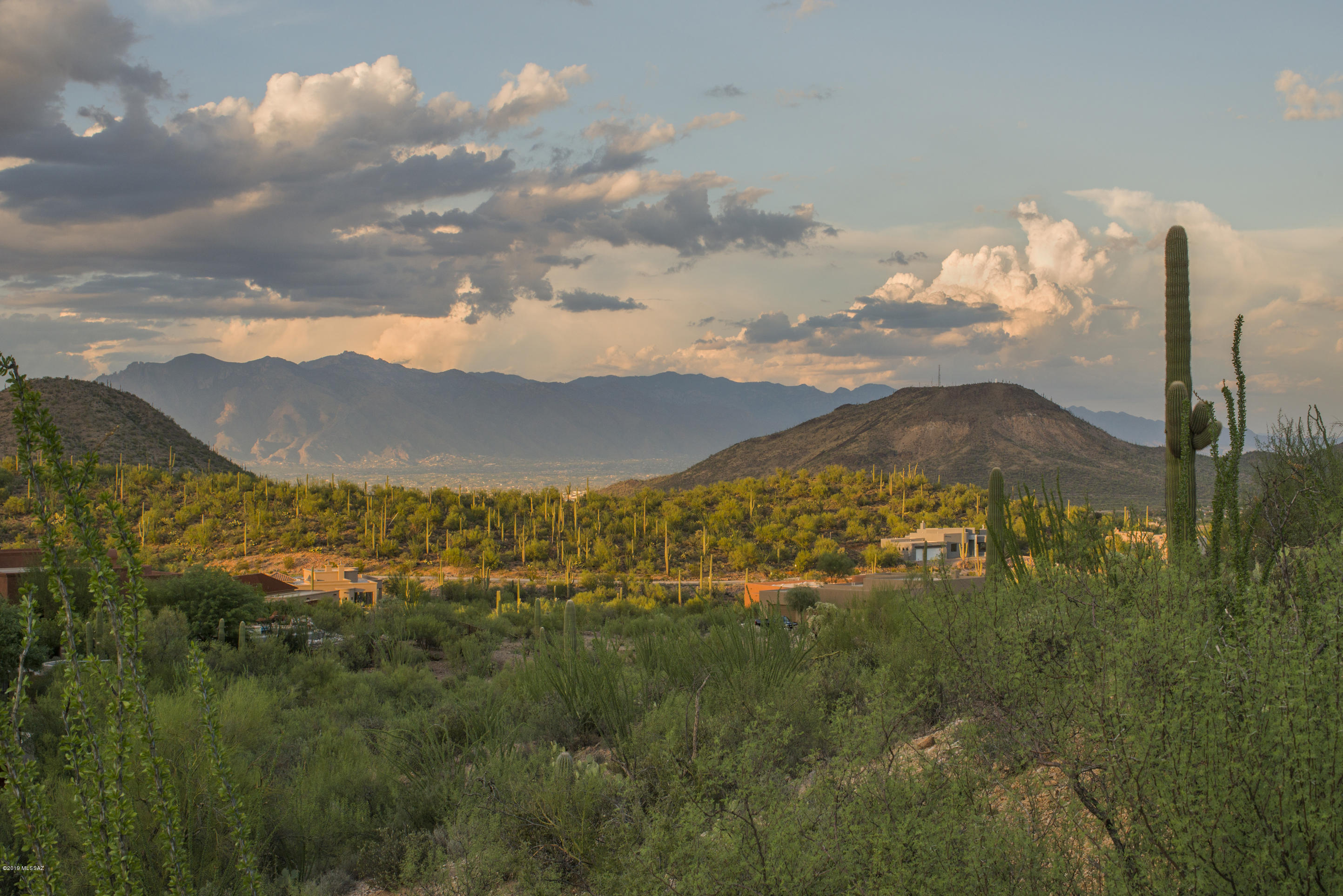 Wildcat Pass (1-61) - Land