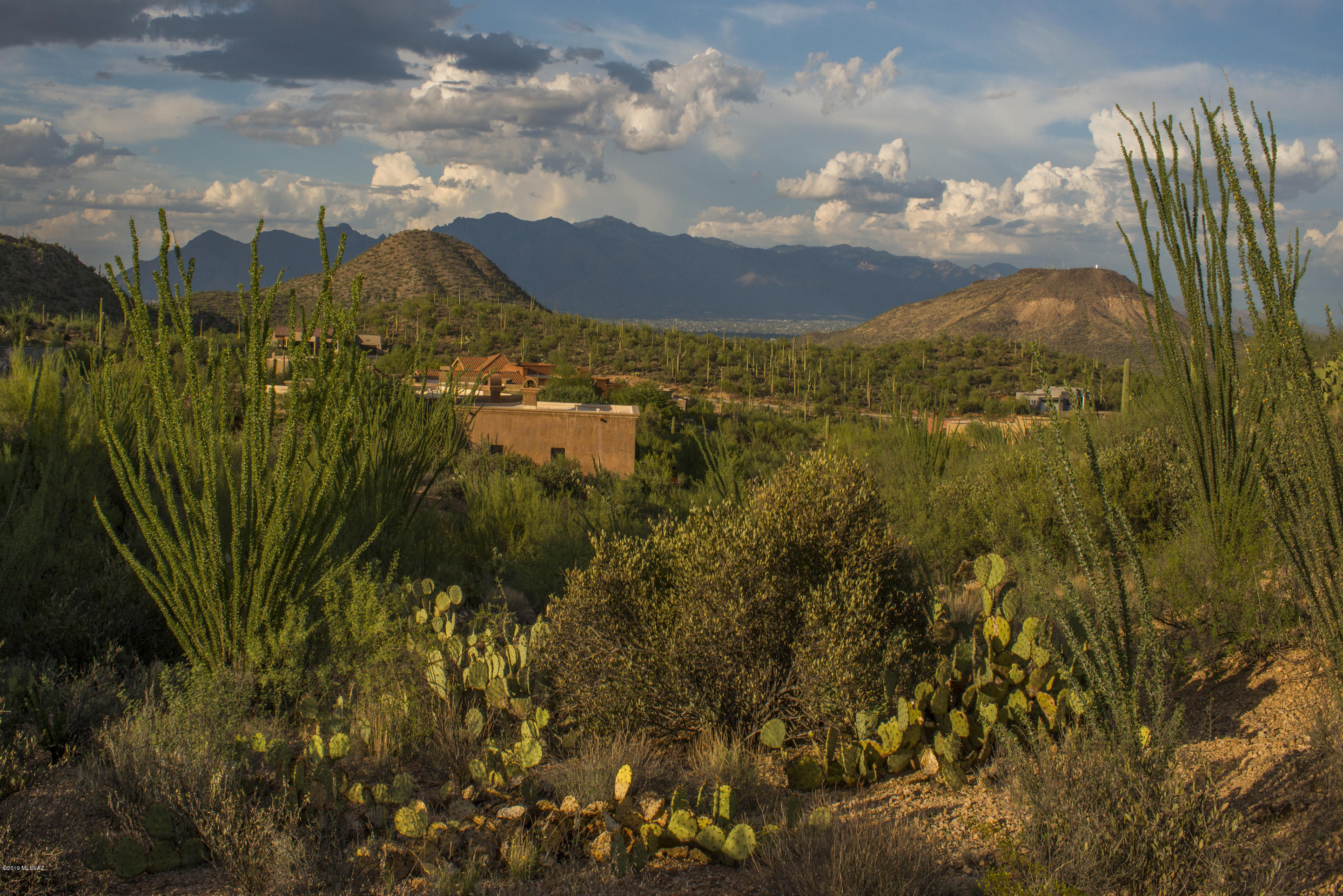 Wildcat Pass (1-61) - Land
