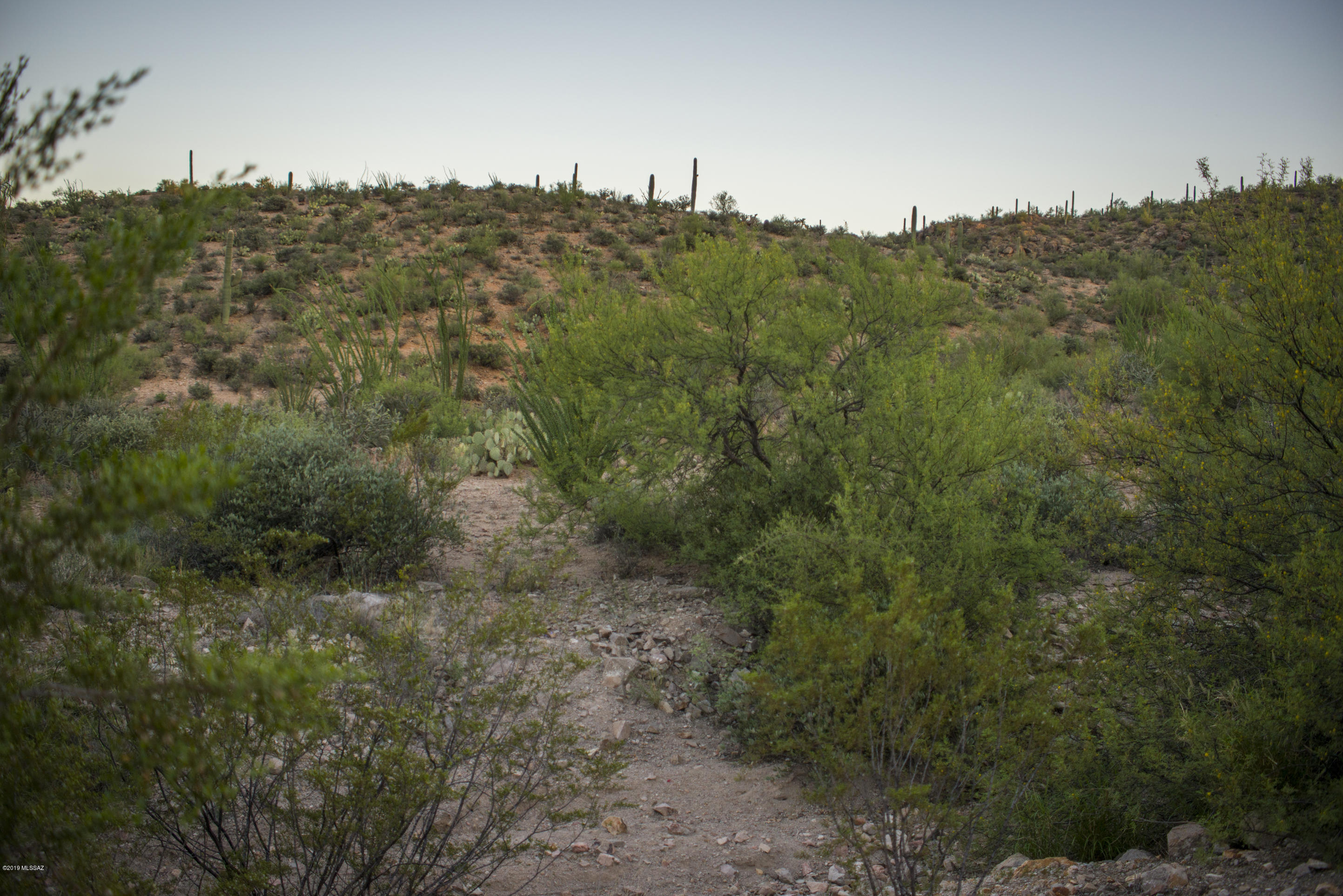 Wildcat Pass (1-61) - Land