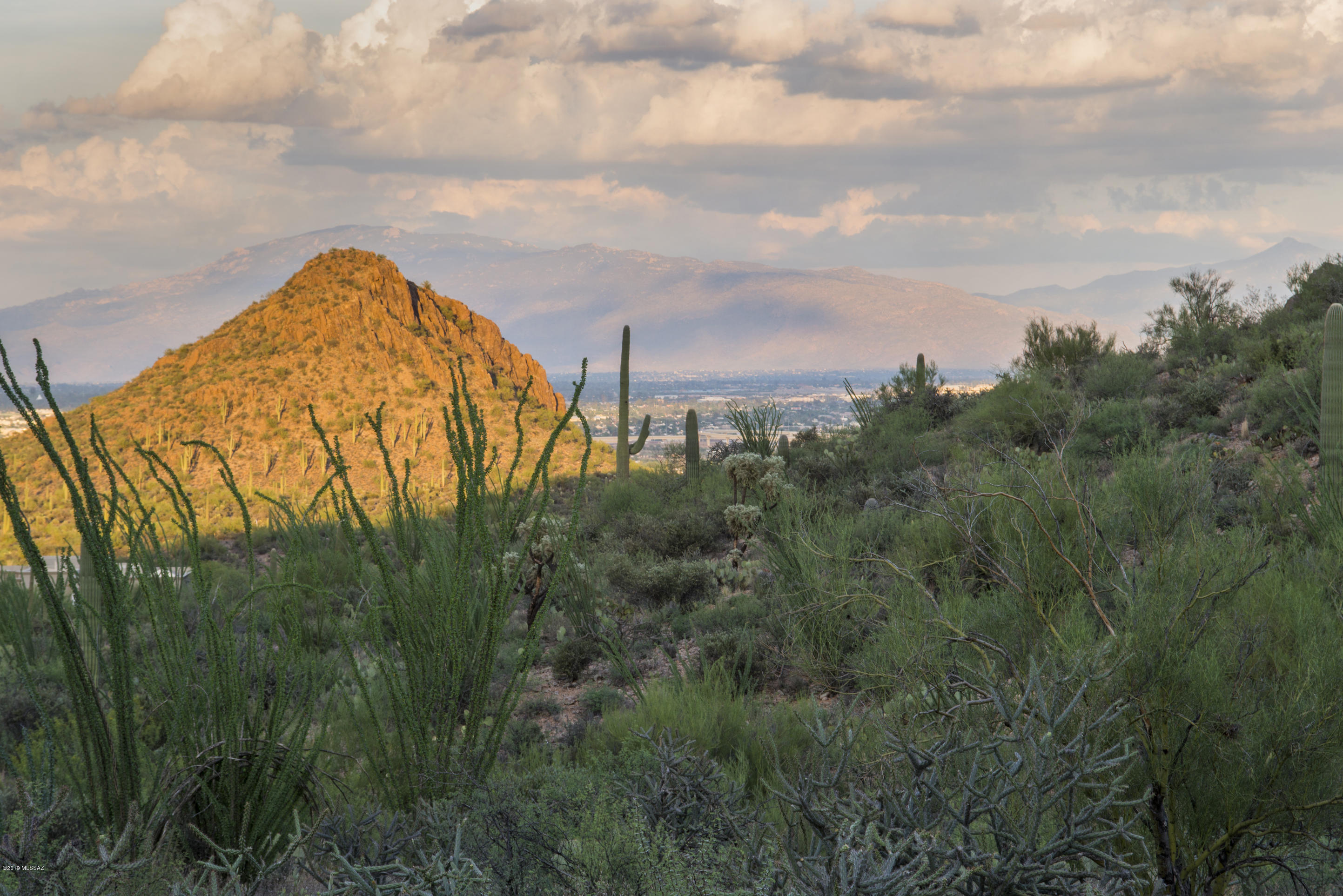 Wildcat Pass (1-61) - Land
