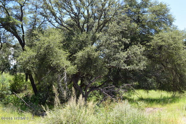 Other/Unknown - Land